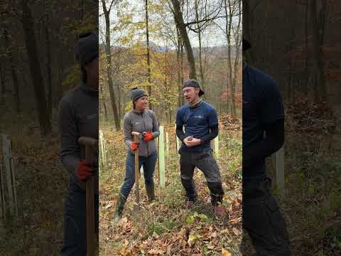 Wir sind Fördermitglied des Vereins "Wohnmobil für Klimaschutz", der regelmäßig Baumpflanzaktionen mit seinen Mitgliedern organisiert.