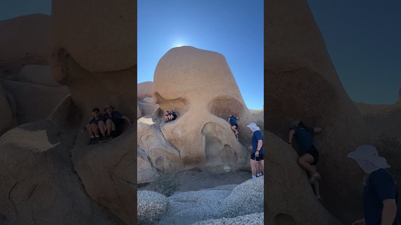 Joshua Tree Nationalpark in den USA I CamperOase