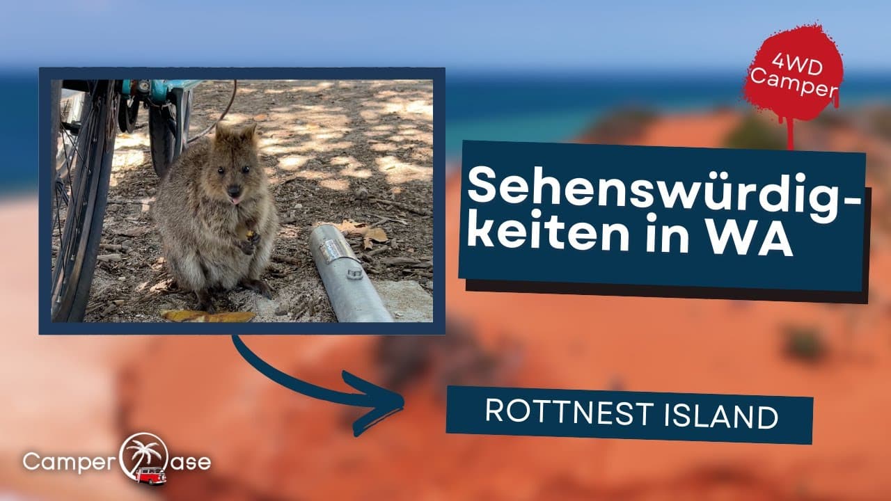 Die Insel der Quokkas: Rottnest Island in Westaustralien - lohnt sich der Besuch? I CamperOase
