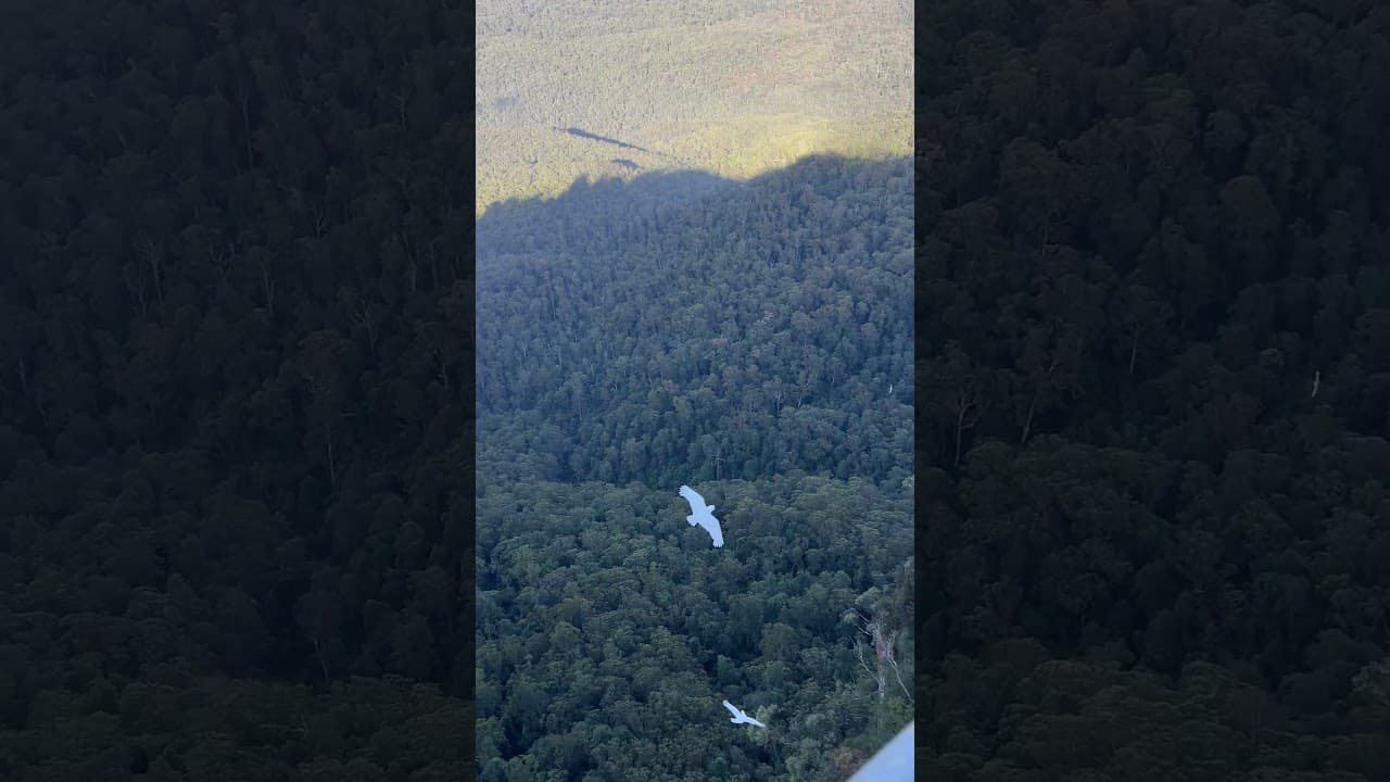 Blue Mountains Nationalpark im Herbst I CamperOase