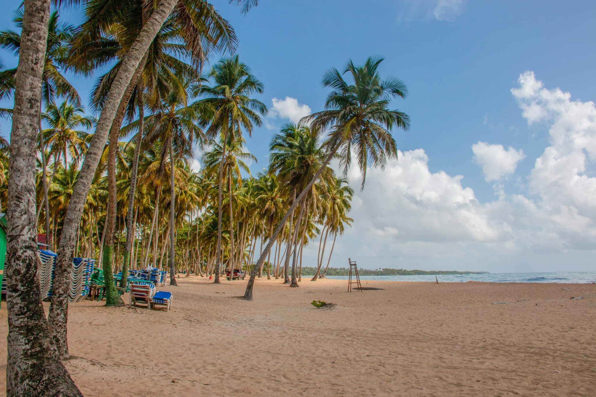 Crandon Park Beach