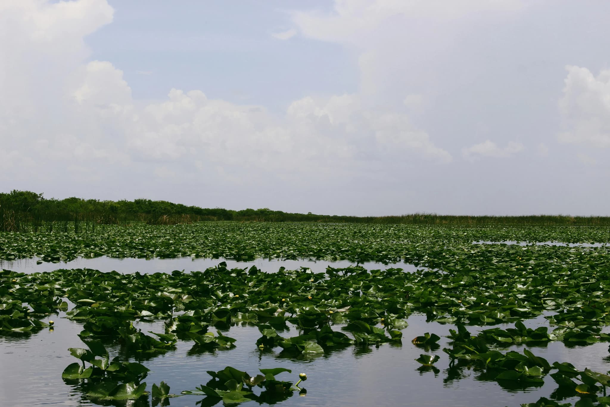 Everglades Nationalpark