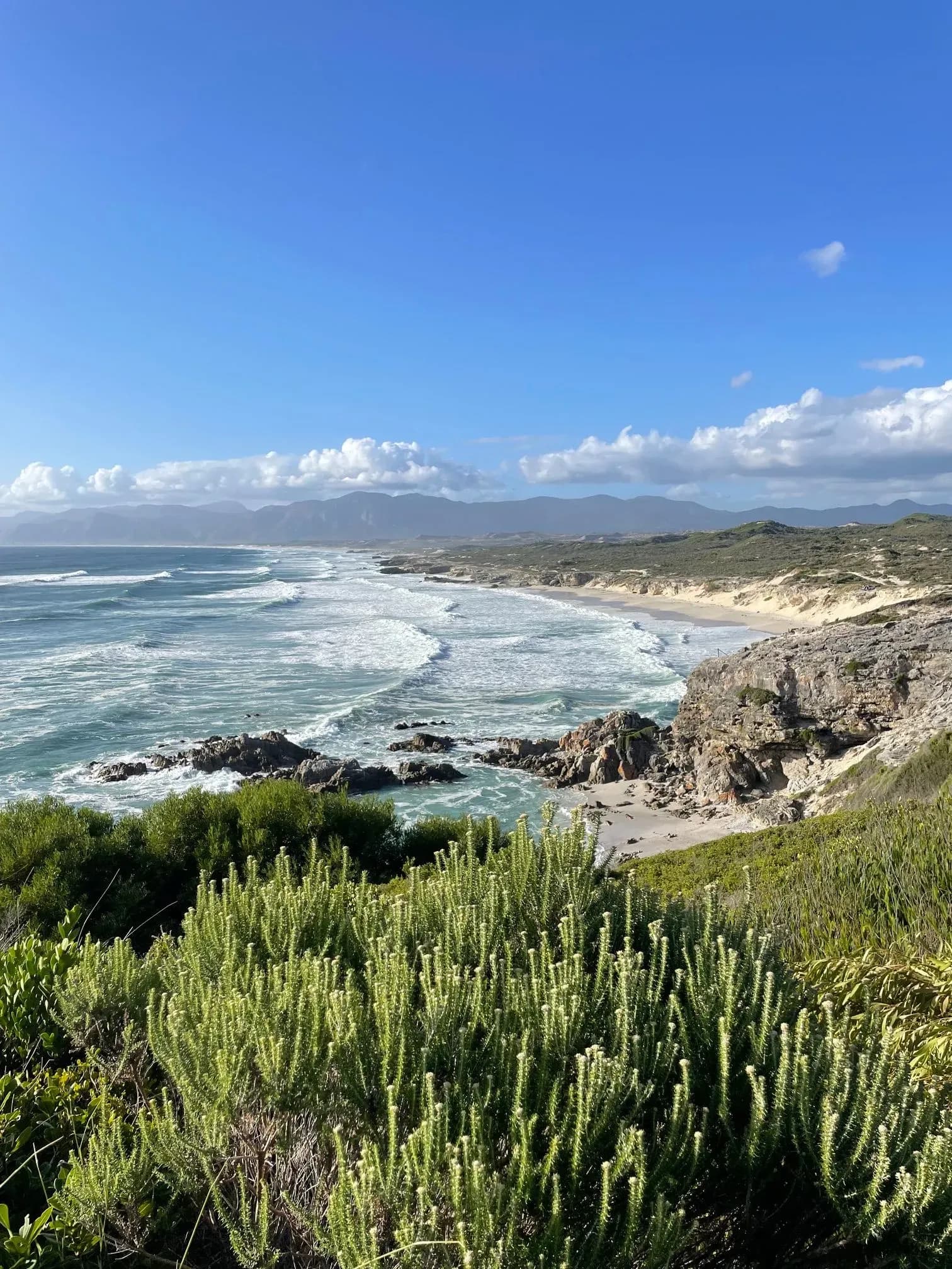 Die beste Reisezeit für Südafrika