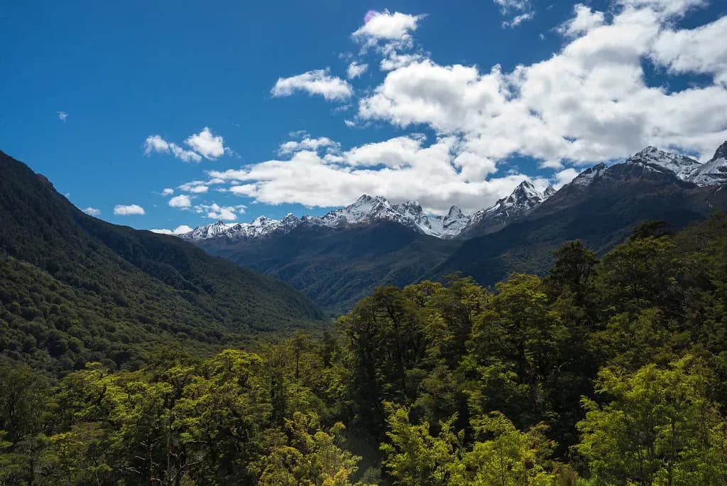 Das Hollyford Valley ist ein Tal in Fjordland, Neuseeland, im Südwesten der Südinsel. Es ist nach dem Hollyford River benannt.