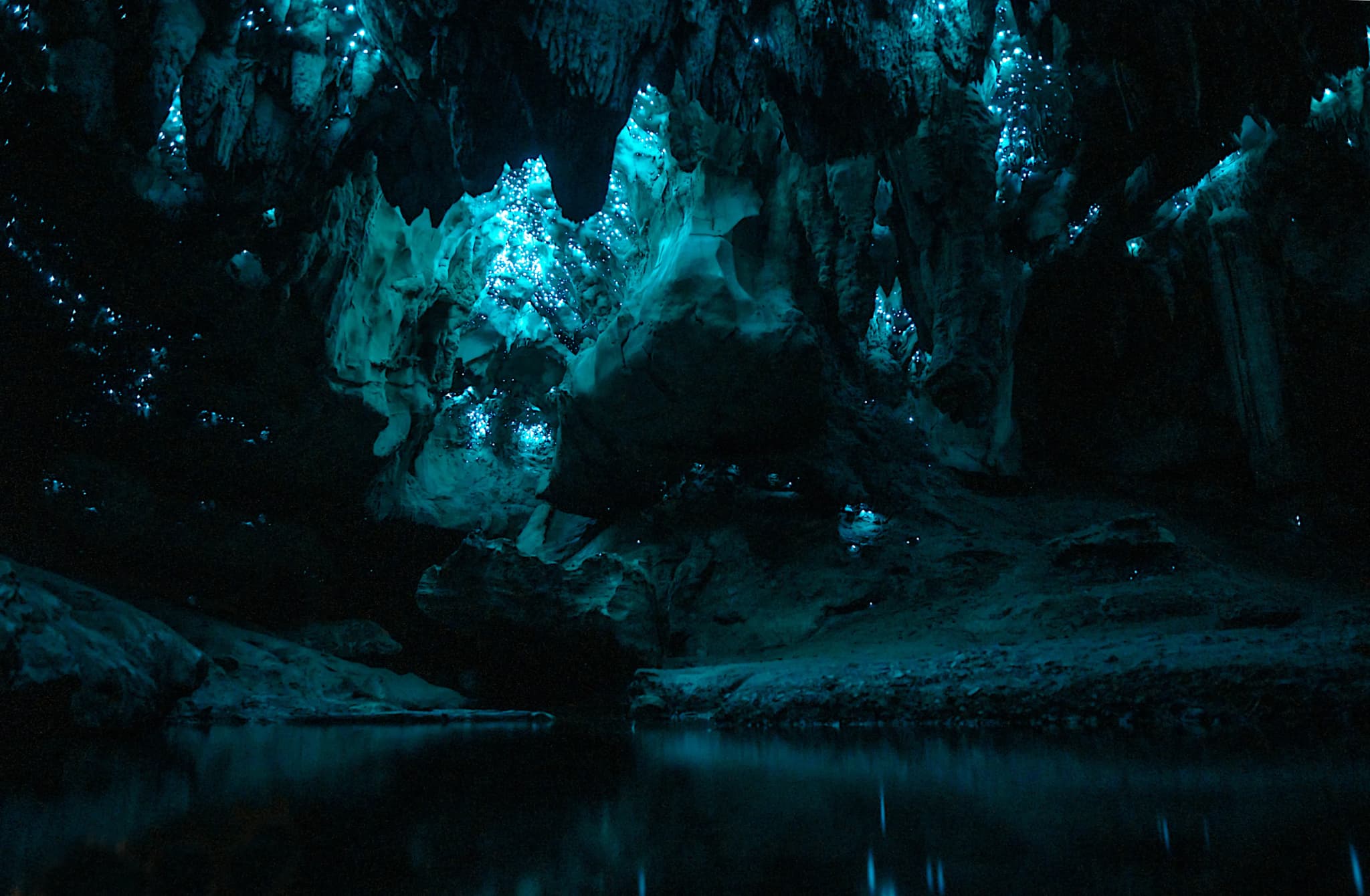 Waipu Caves