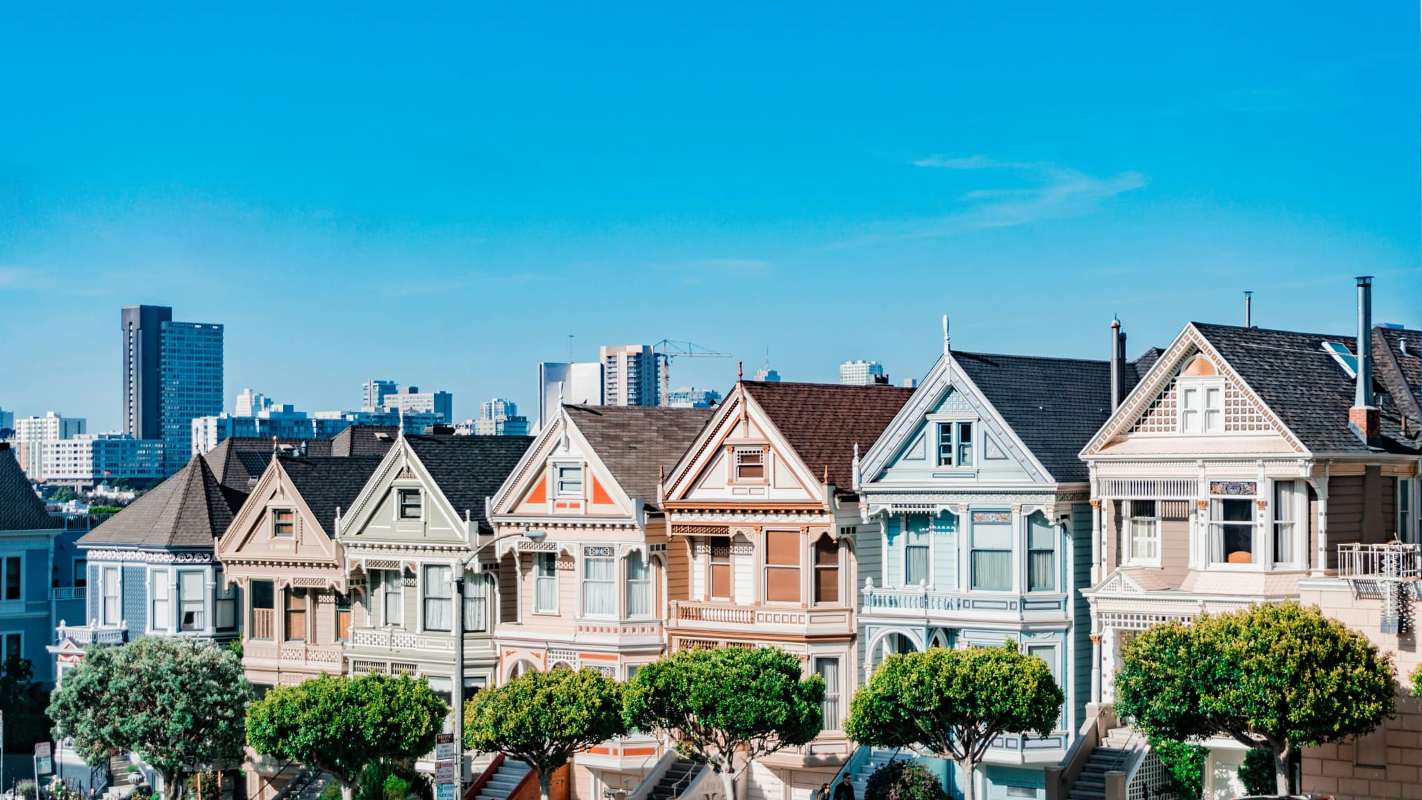 Painted Ladies