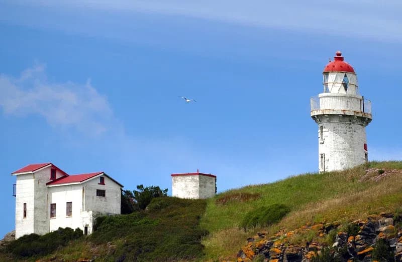Cape Foulwind Lighthouse ist ein Leuchtturm auf Cape Foulwind im Buller District in der Region West Coast auf der Südinsel Neuseelands.