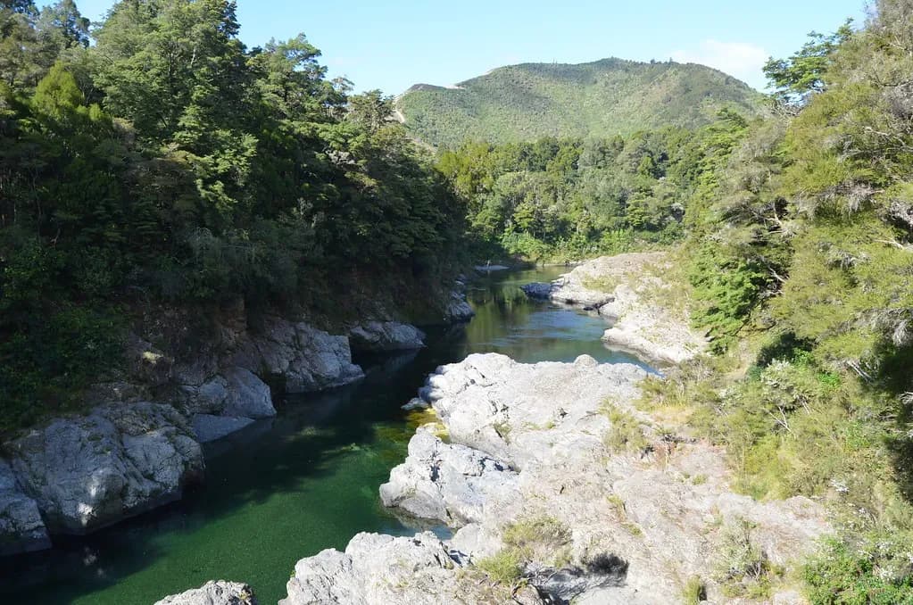 Pelorus Bridge Reserve Ein beeindruckende Landschaft, die sich auf der Südinsel Neuseelands befindet