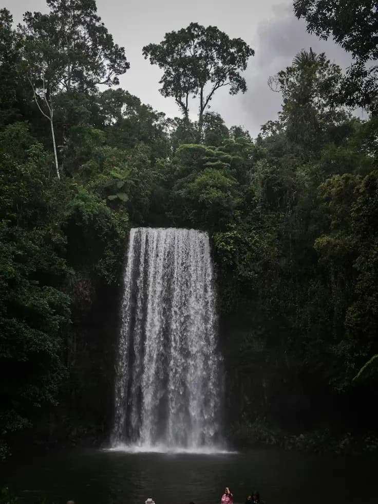 Millaa Millaa Falls in Australien