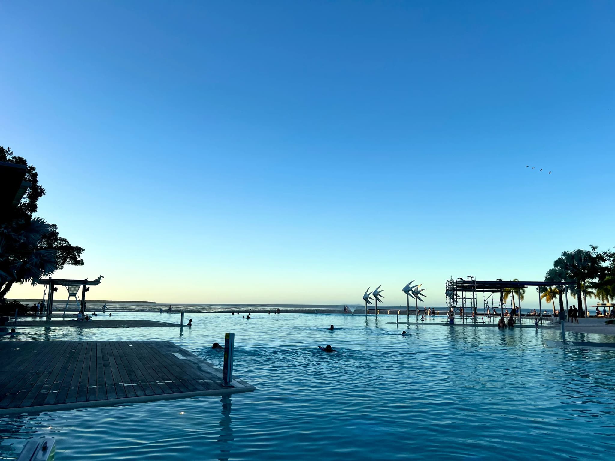 Lagune in cairns zum schwimmen 