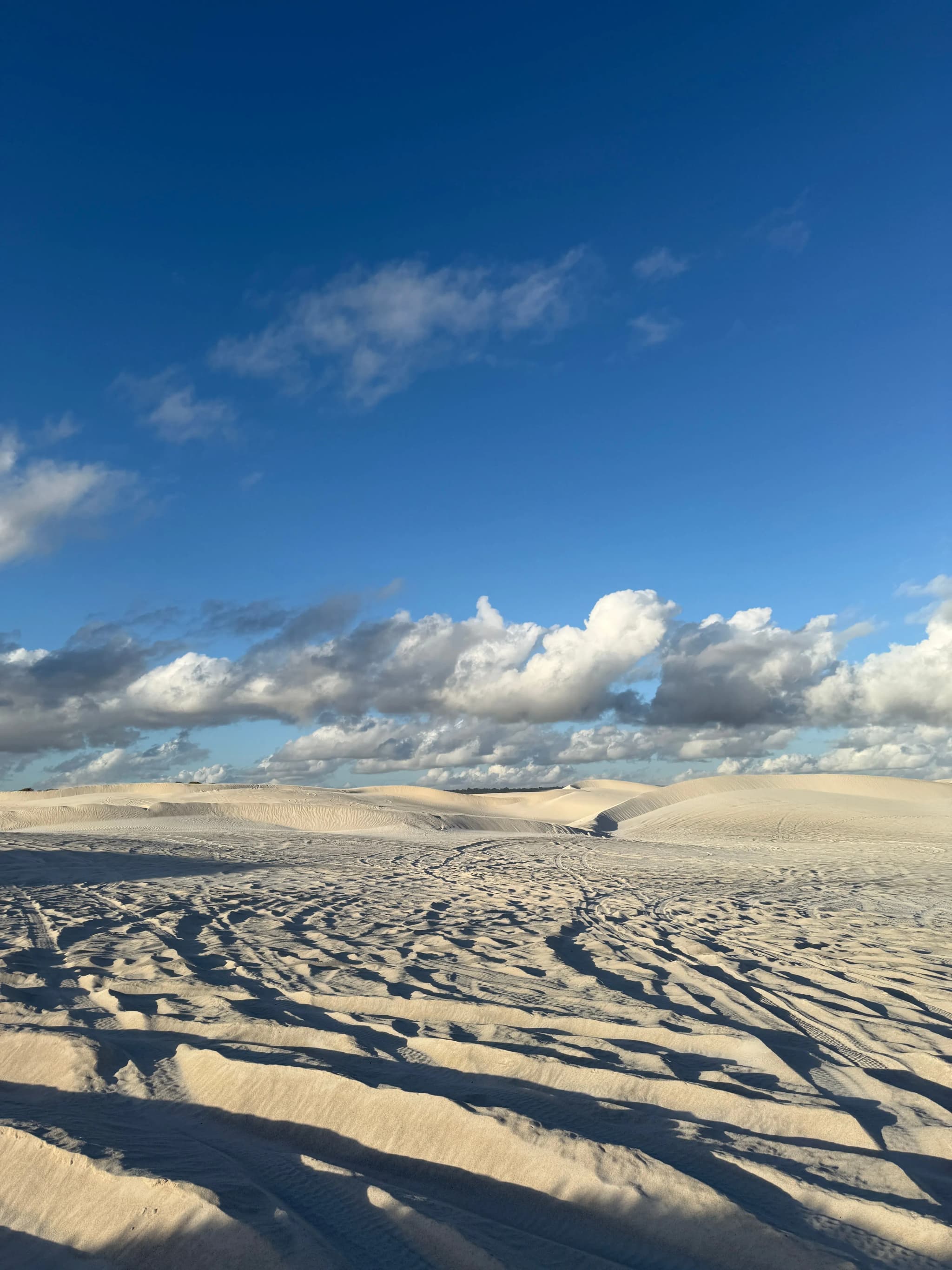Lancelin Sanddunes