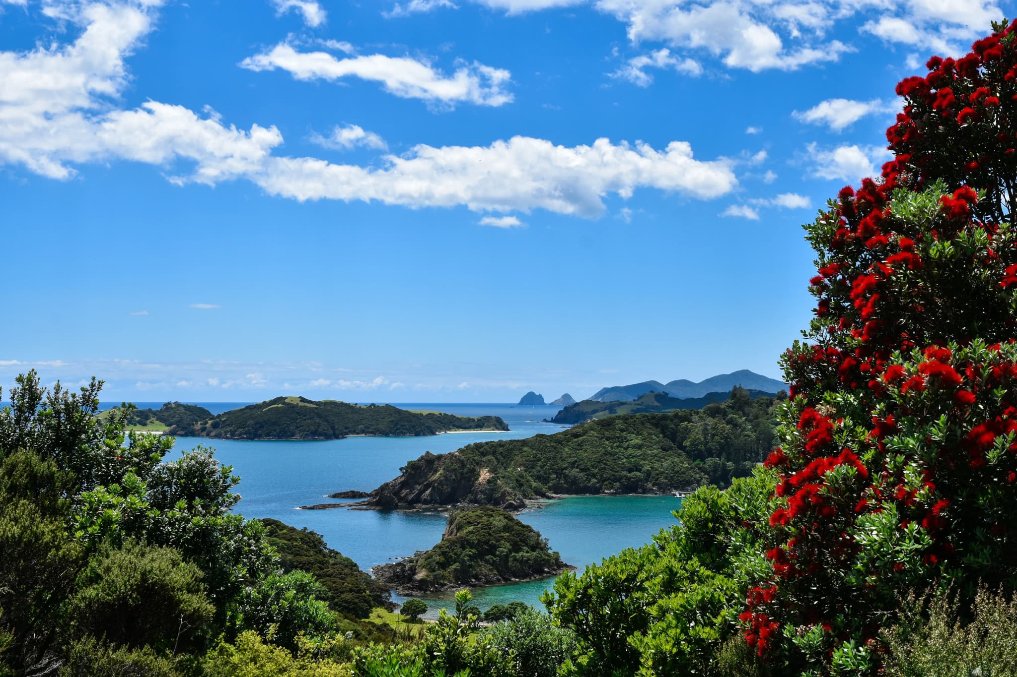 Bay of Island, blick aufs Meer