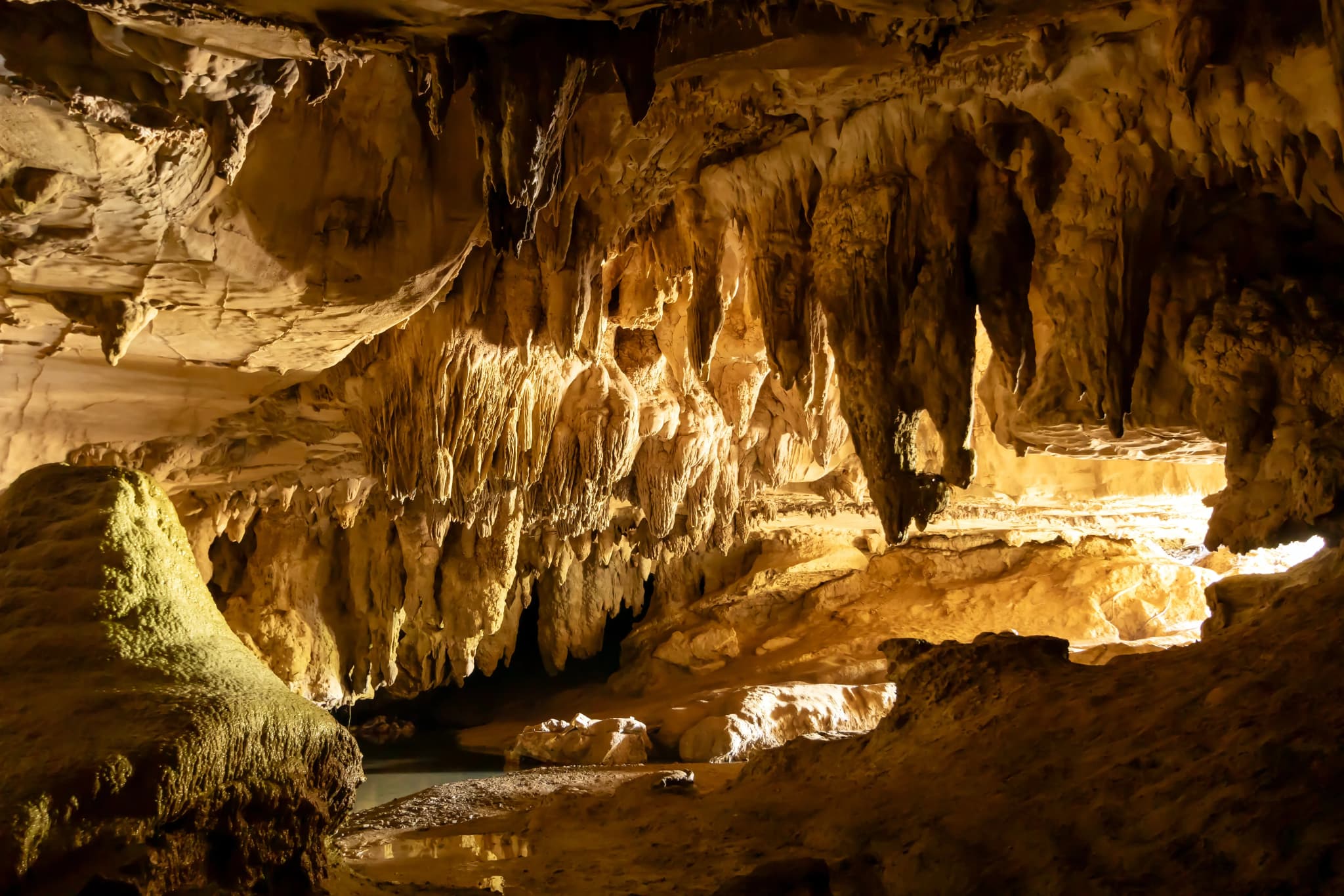 Waipu Caves im Tageslicht