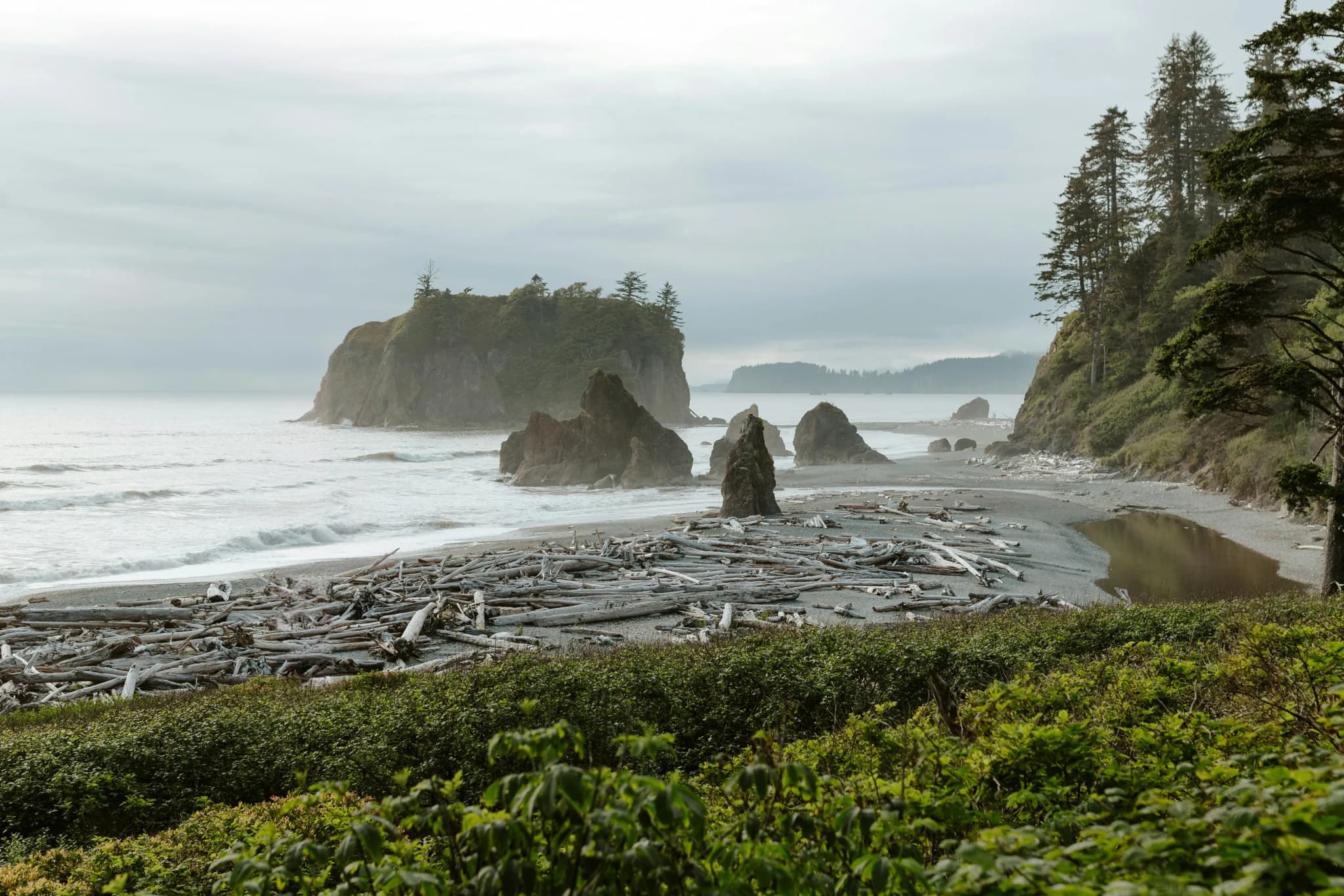 Olympic Nationalpark (Washington)