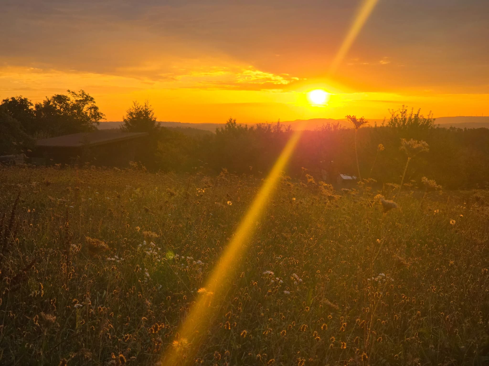 Photo von Sonnenaufgang