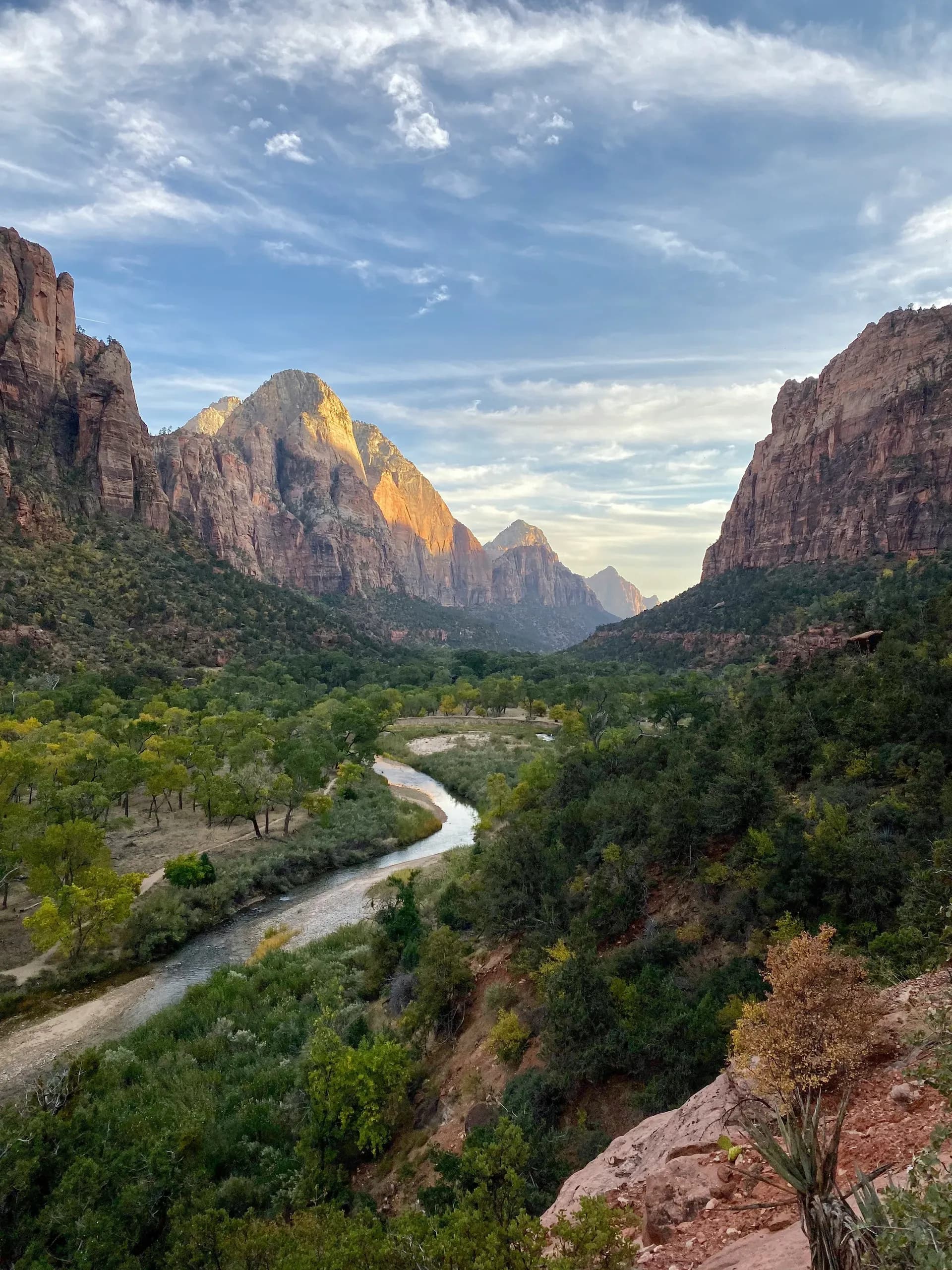 Aussicht aufs Tal im Zion Nationalpark
