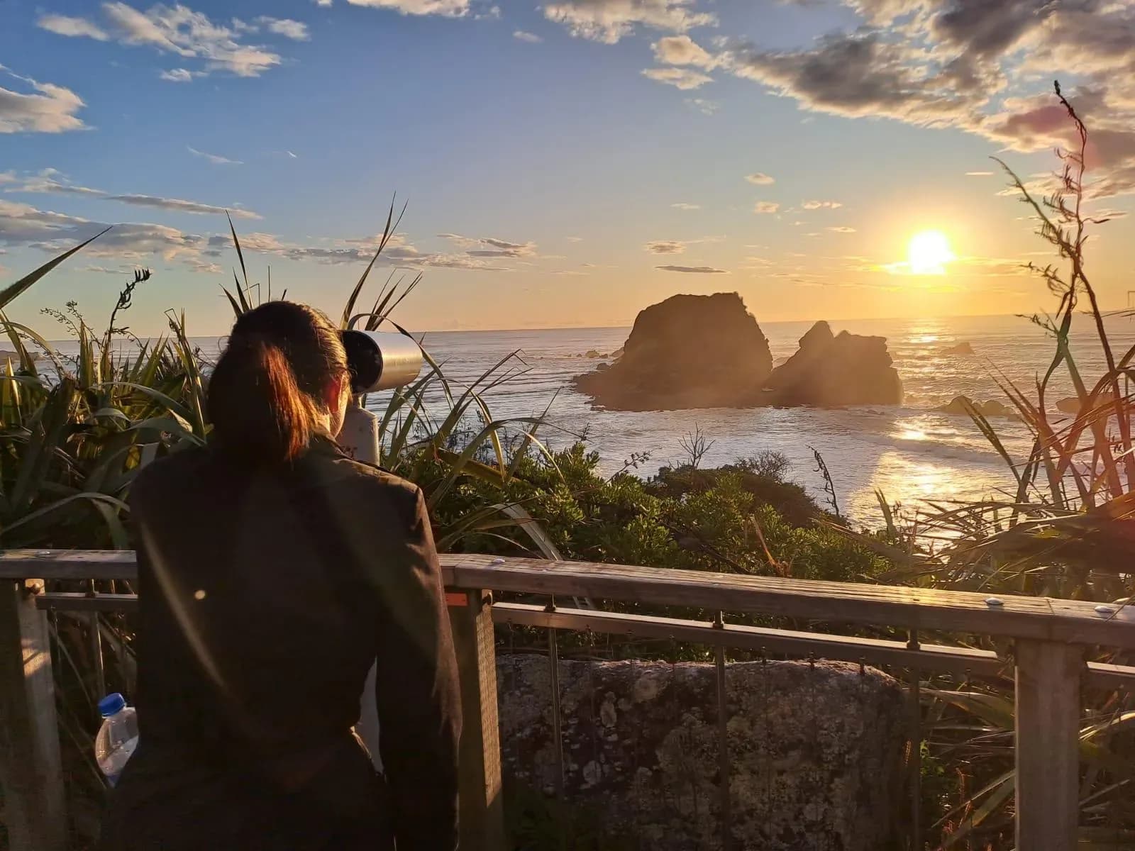 Neuseeland Lookout
