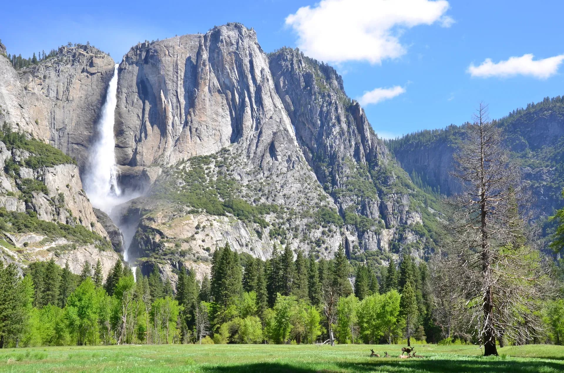 Yosemite Nationalpark, USA Wohnmobil mieten, Kalifornien bereisen