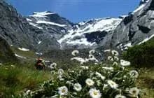 Gillespie Pass, Neuseeland