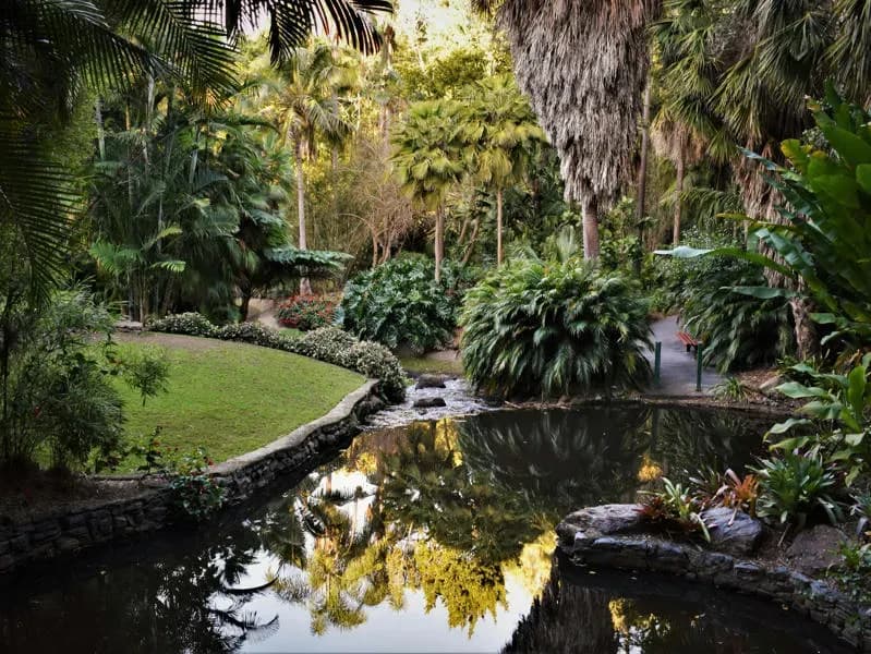 Botanischer Garten in Brisbane