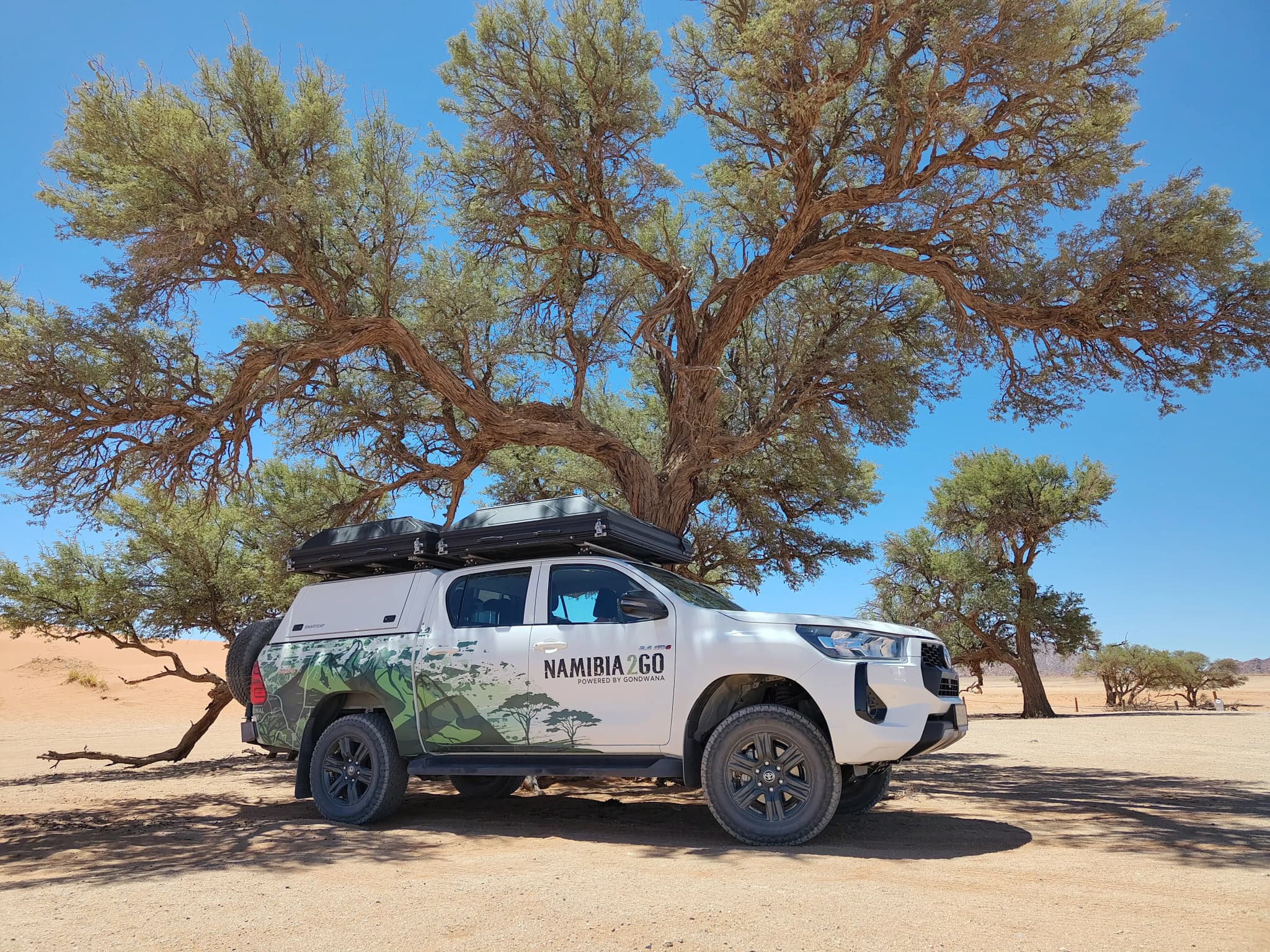 Hilux DC Camping Comfort von Namibia2Go vor Baum im Sossusvlei