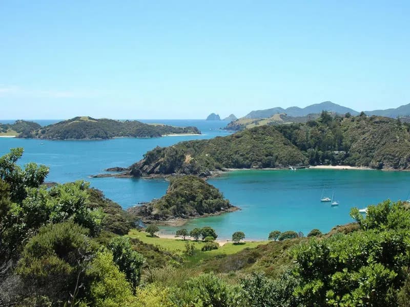 Bay of Islands Buchten Inseln Meer Wald grün als einer der Sehenswürdigkeiten in Neuseeland