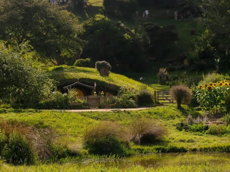 Hügel Graslandschaft Filmset Herr der Ringe Original Matamata als einer der Sehenswürdigkeiten in Neuseeland