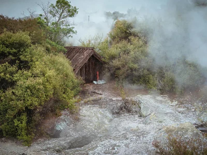 Rotoura Hütte Nebel Dampf Bäume als einer der Sehenswürdigkeiten in Neuseeland