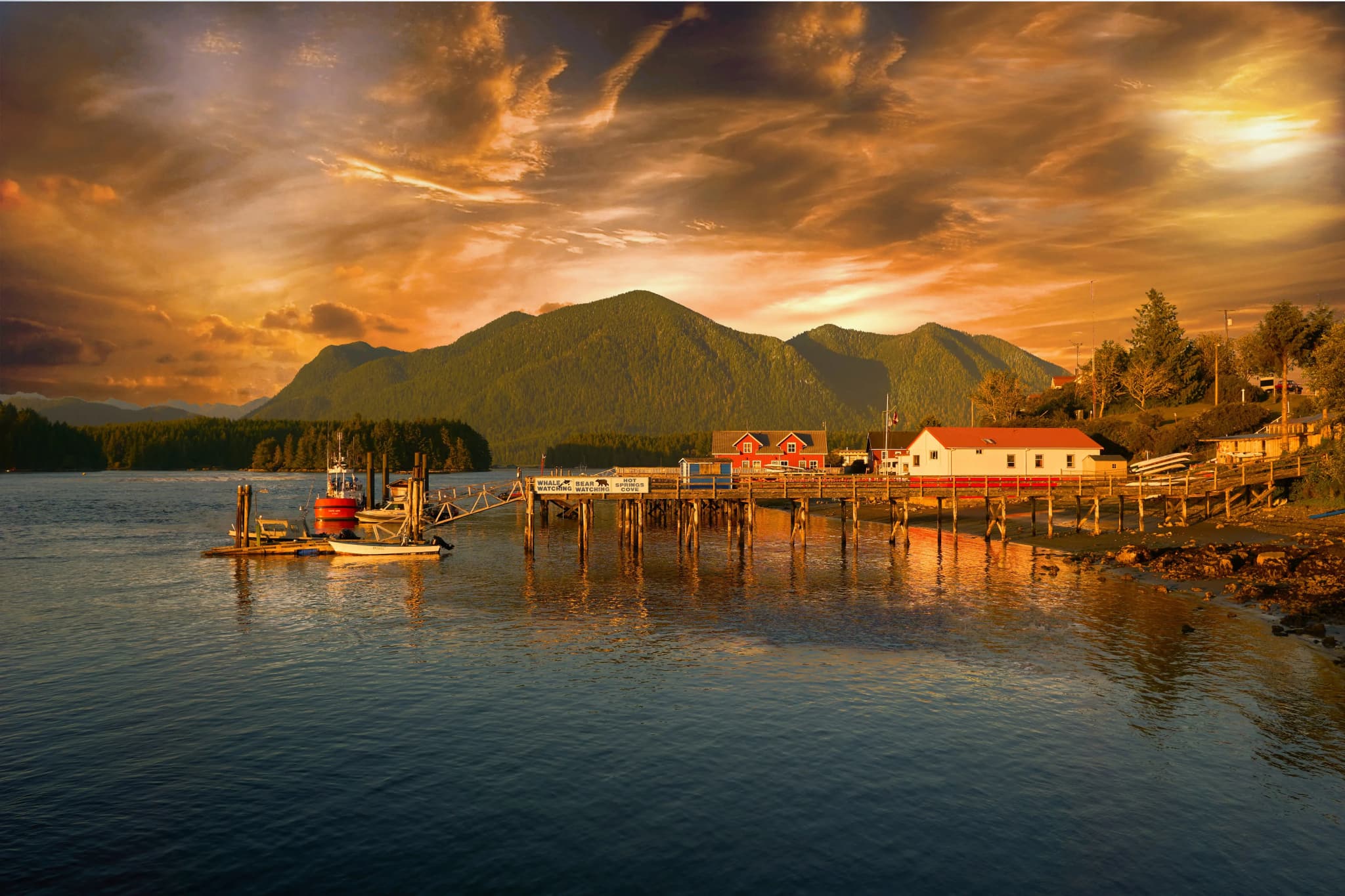 Vancouver Islands ist ein Muss für eure Reise mit dem Camper