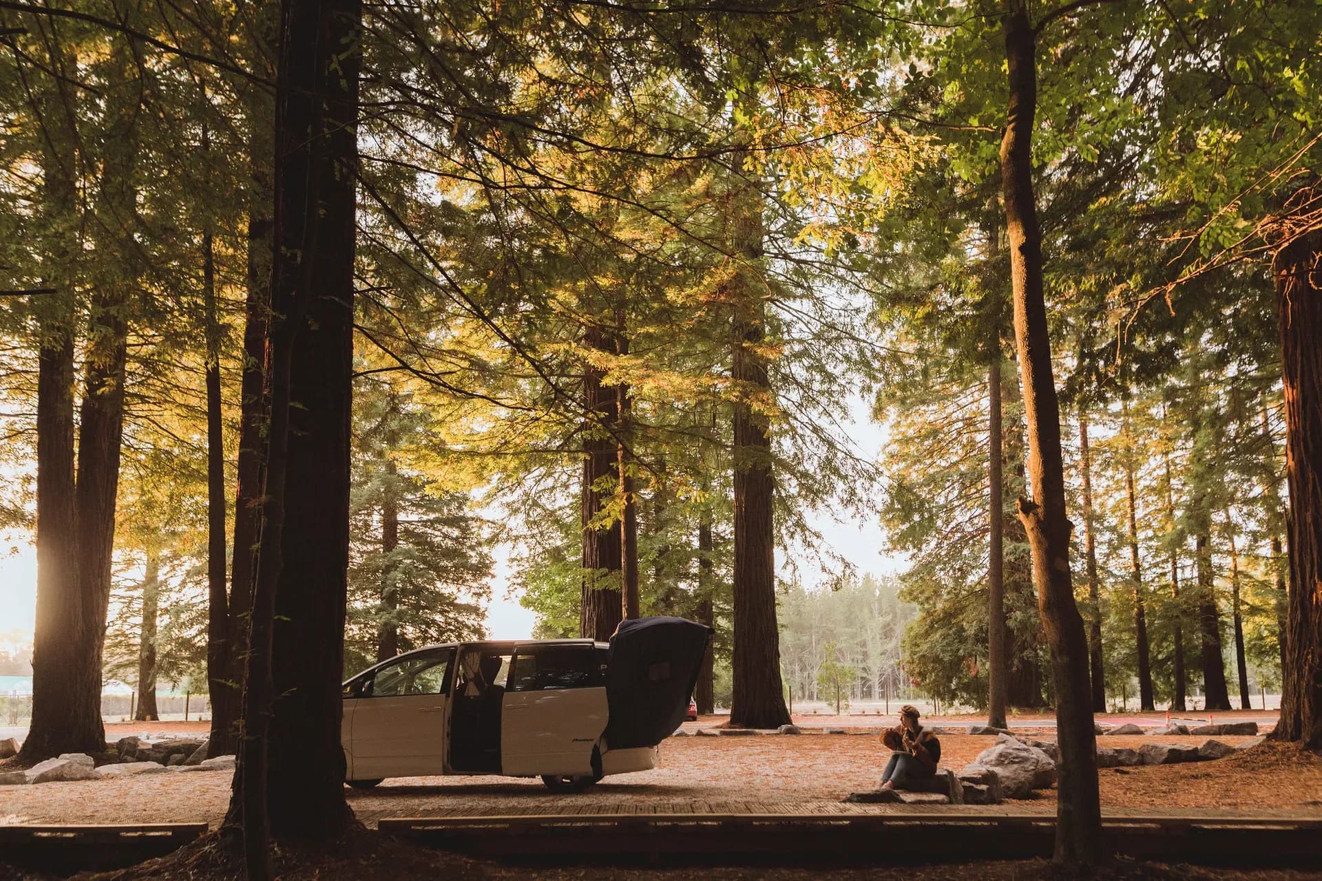 Alpha von Spacesips in einem Wald in Australien