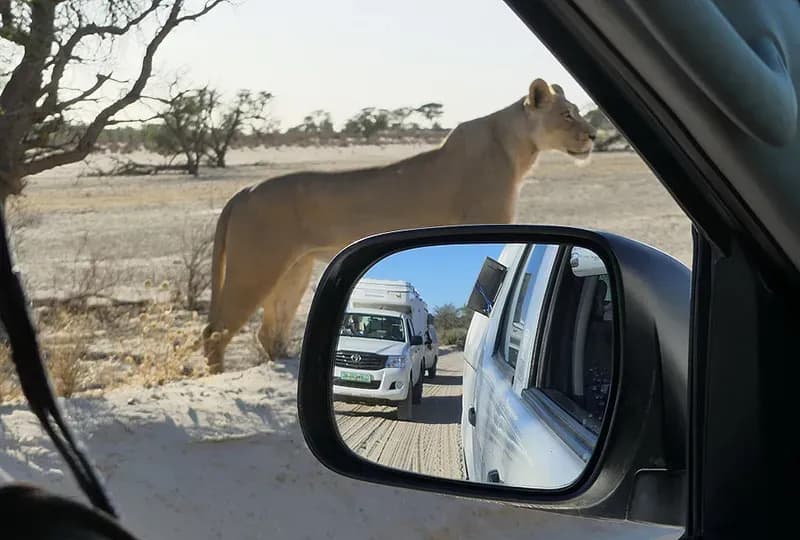 Der Toyota Hilux DC 2.4L von Africa on Wheels in Namibia
