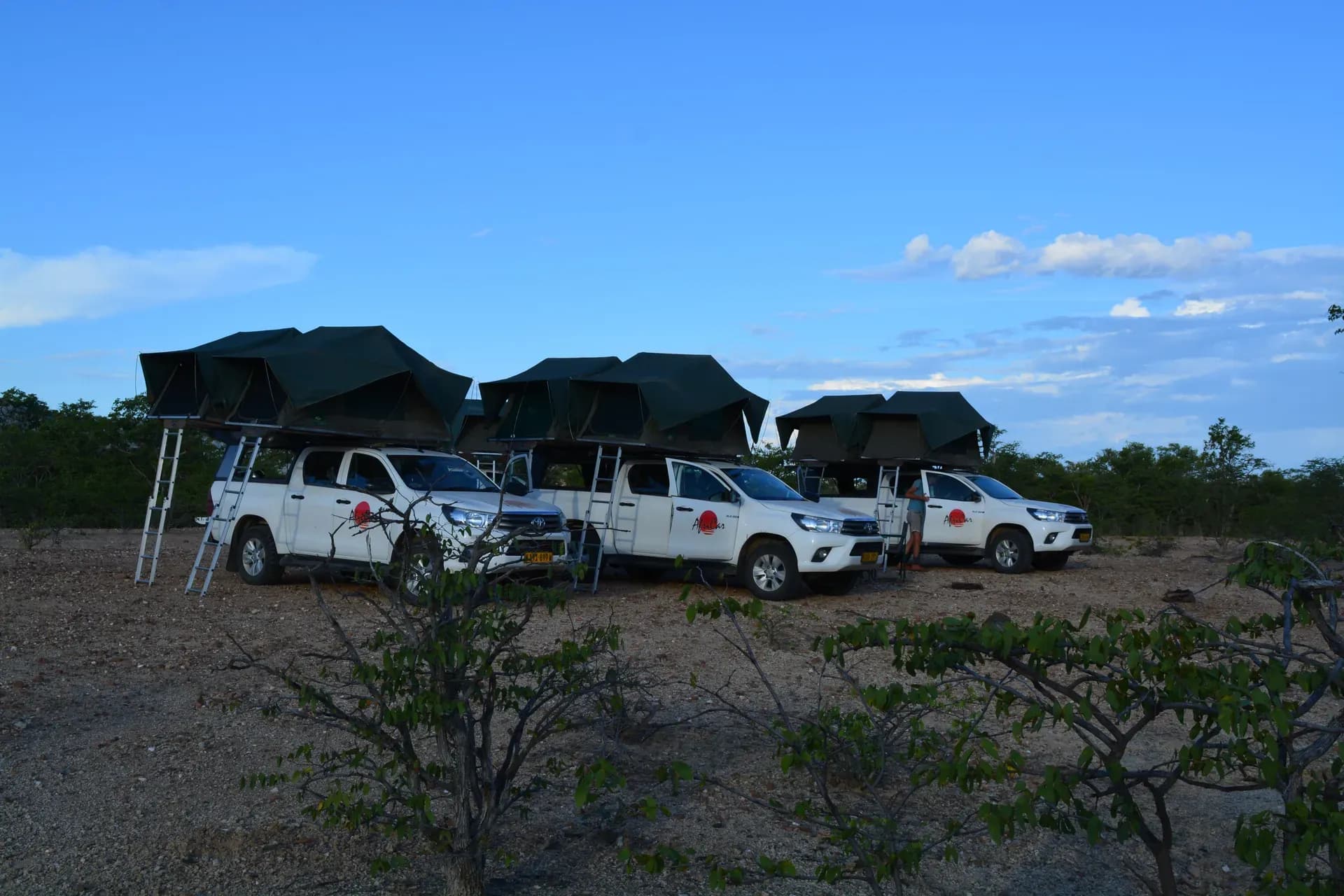 Mehrere Premium Toyota Hilux 4 Pax von AfriCar Car Hire nebeneinander in Namibia