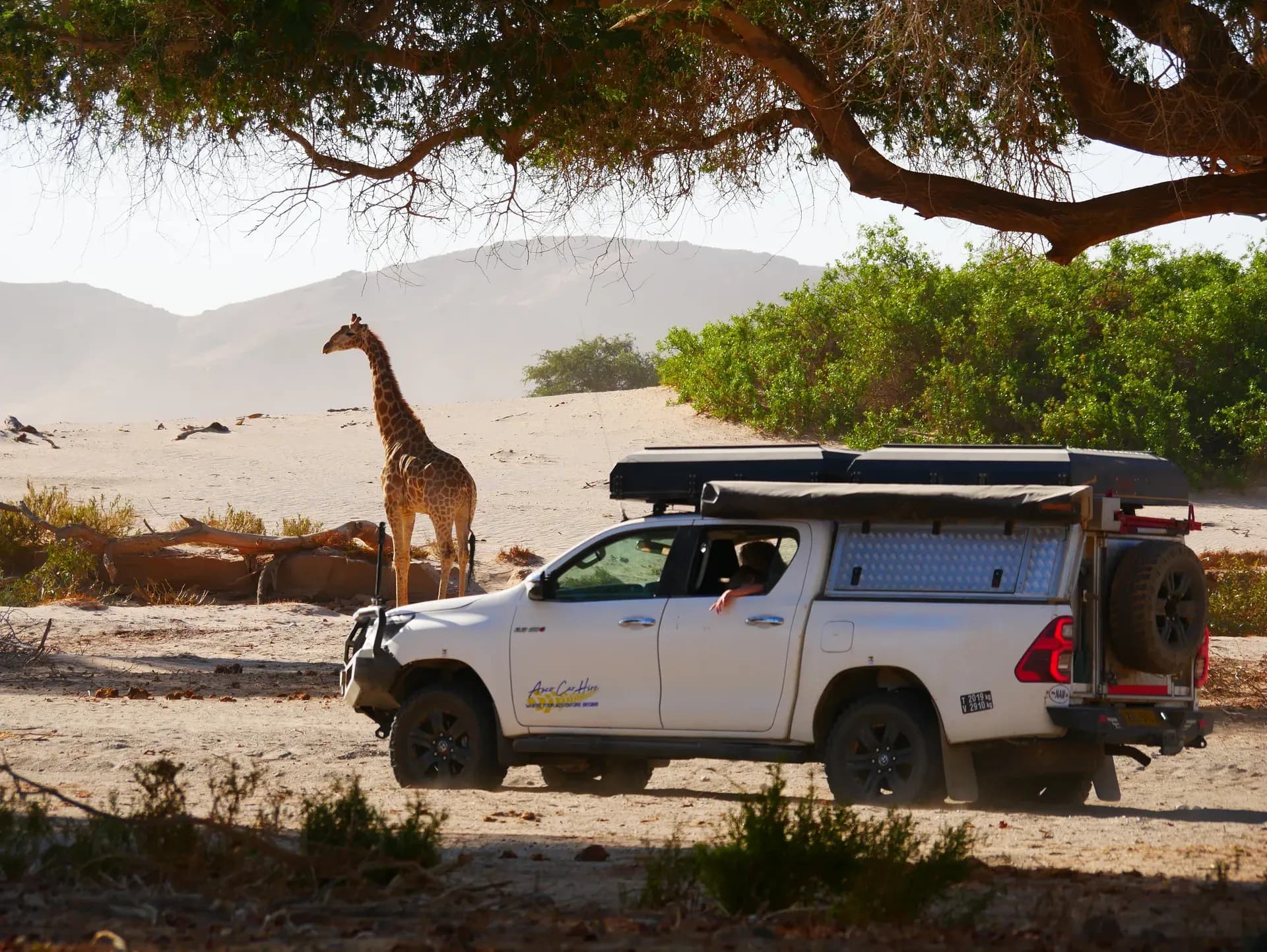 Premium T+ Hilux Safari DC 2.8TD mit Markise von Asco Car Hire neben Giraffe in Namibia