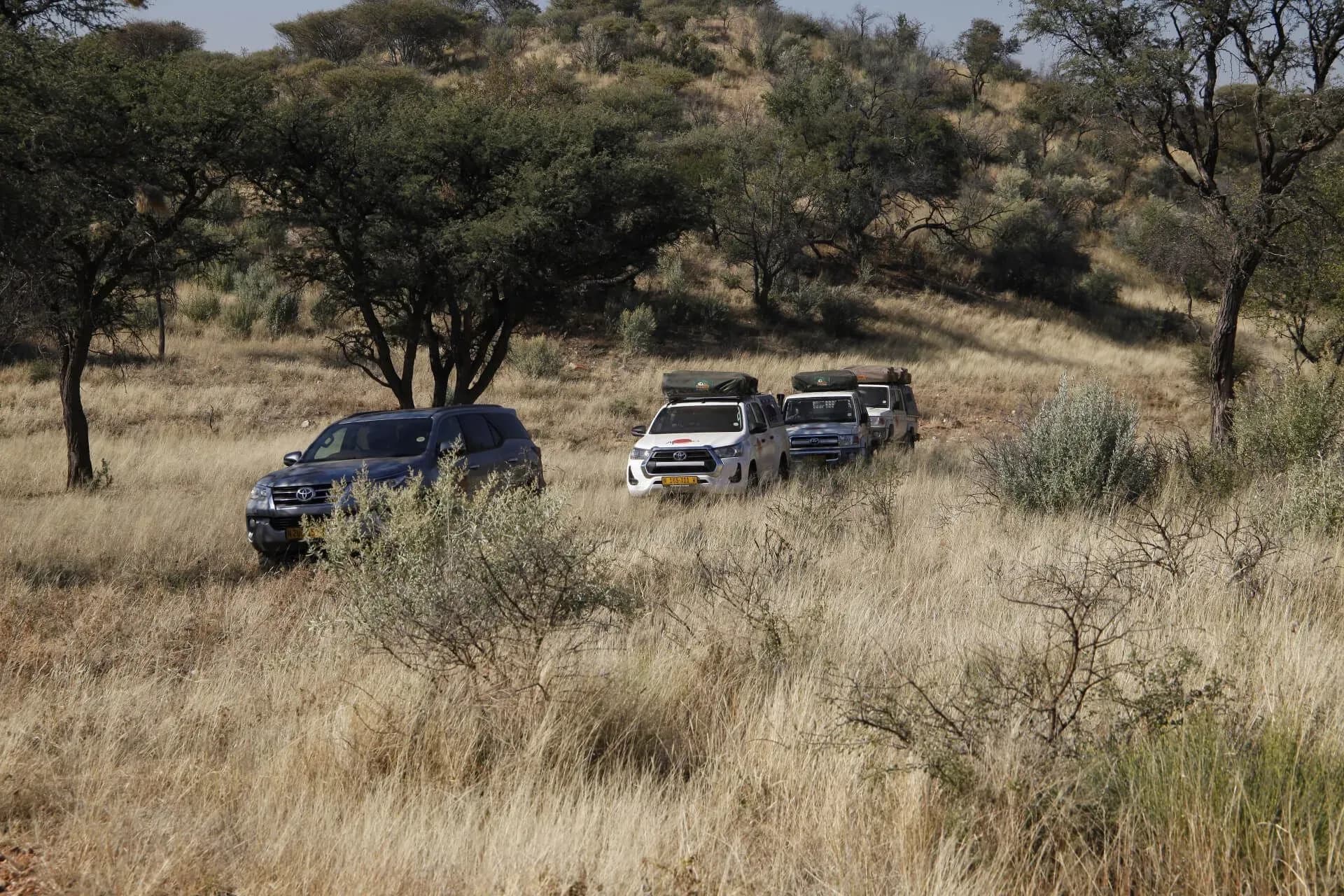 AfriCar Car Hire