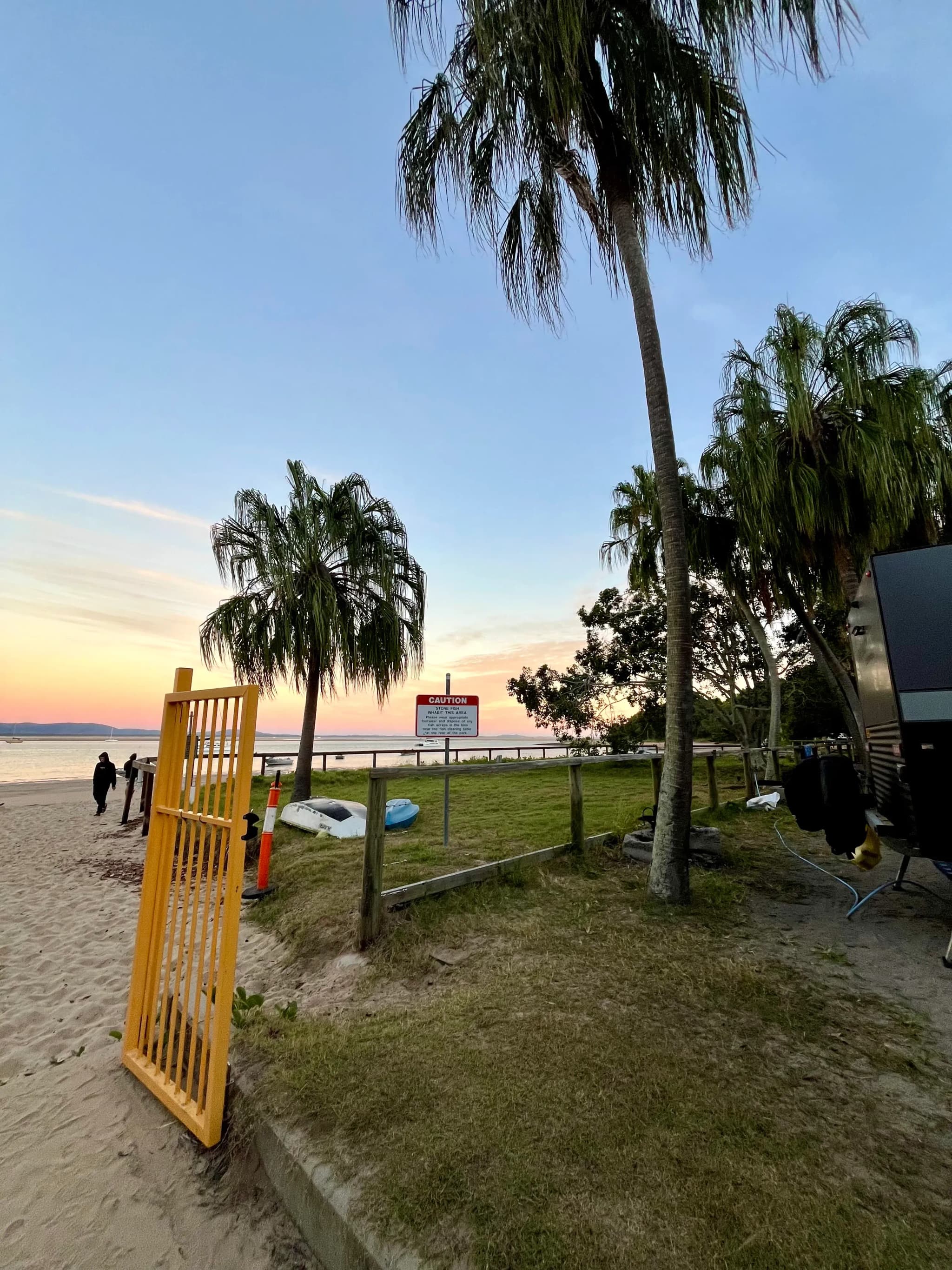Palmen uns Meer in der Morgenstimmung