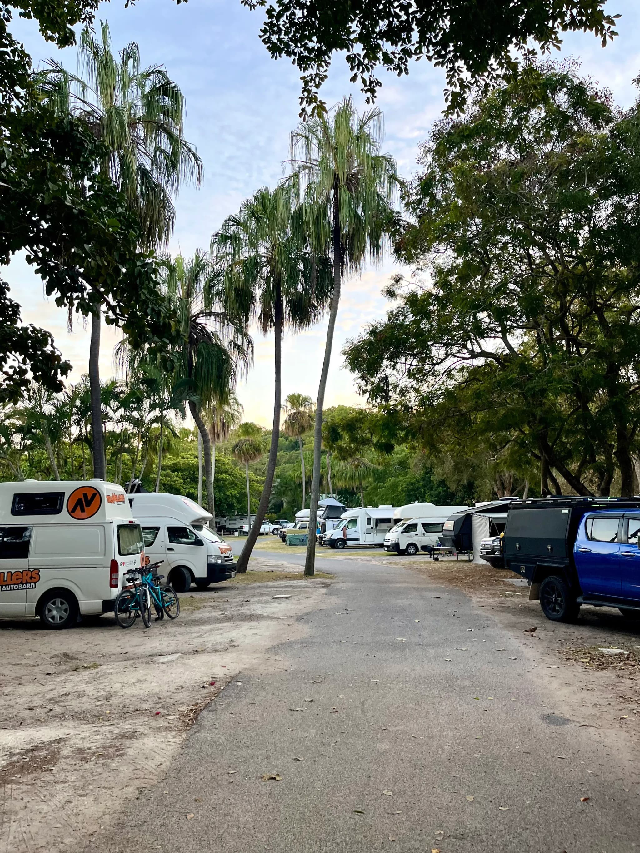 Camper auf einem Campground mit vielen Palmen