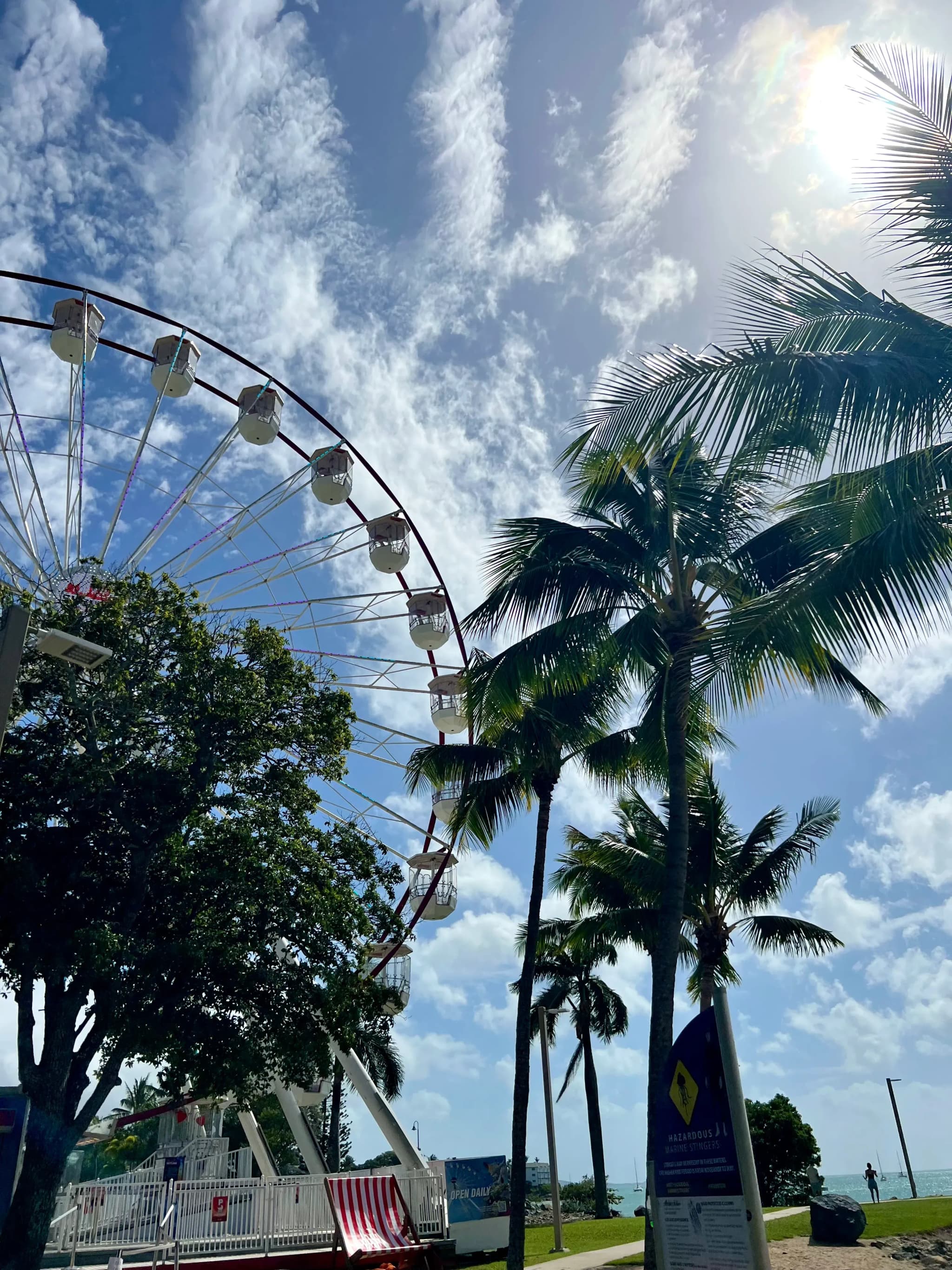 Riesenrad mit Palmen im Vordergrund in Airlie Beach