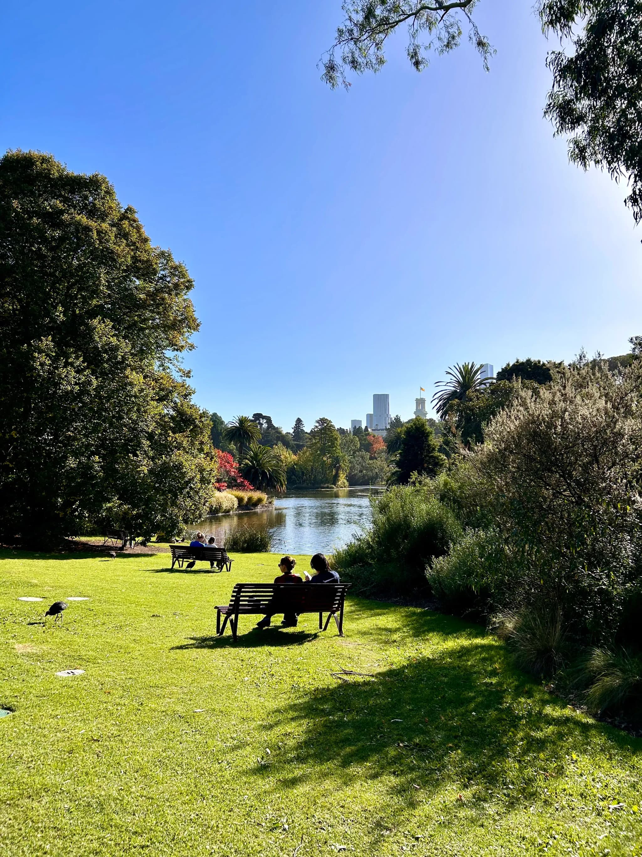 Menschen, die auf einer bank im Park sitzen