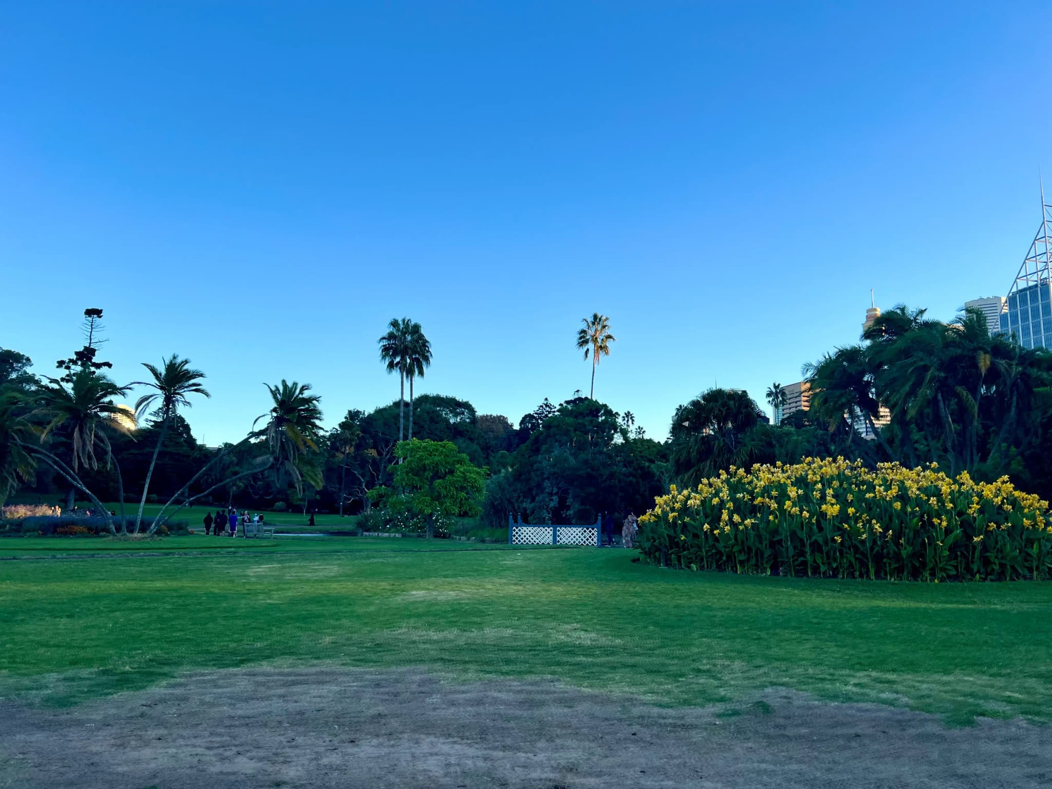 Royal Botanic Gardens Sydney