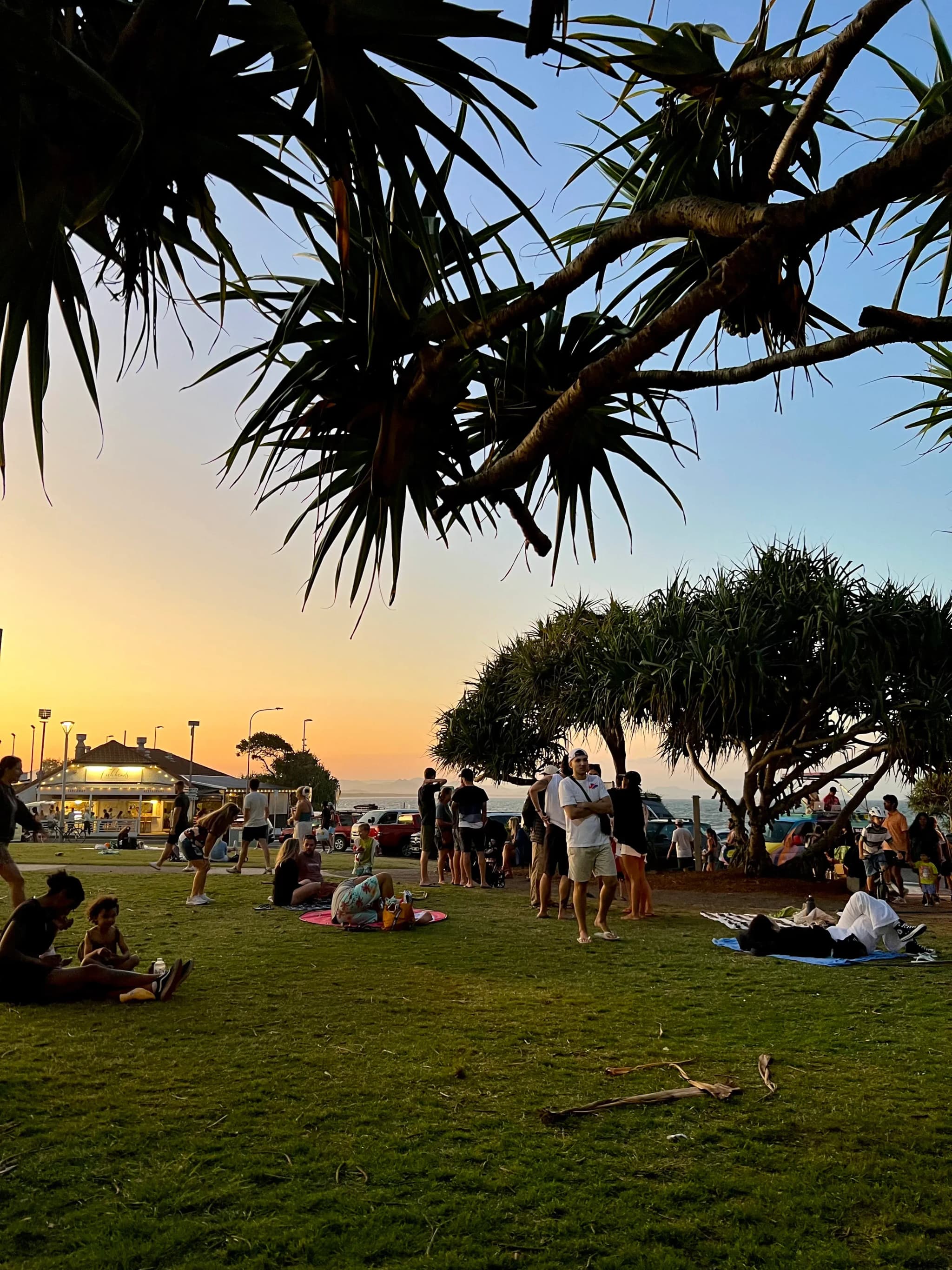 Hast du Lust Weihnachten in Down Under zu erleben?