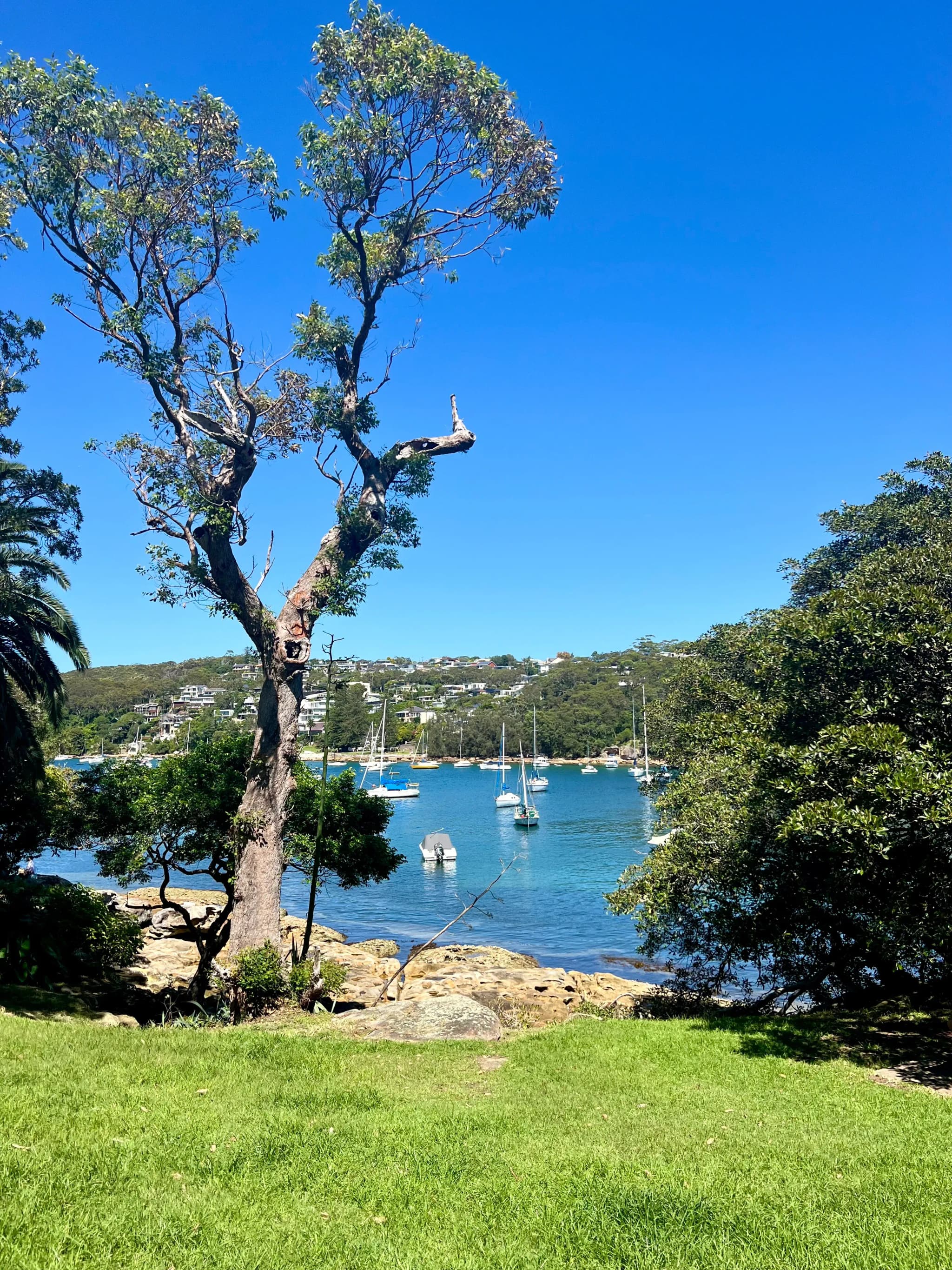 Manly to Spit Bridge Coastal Walk