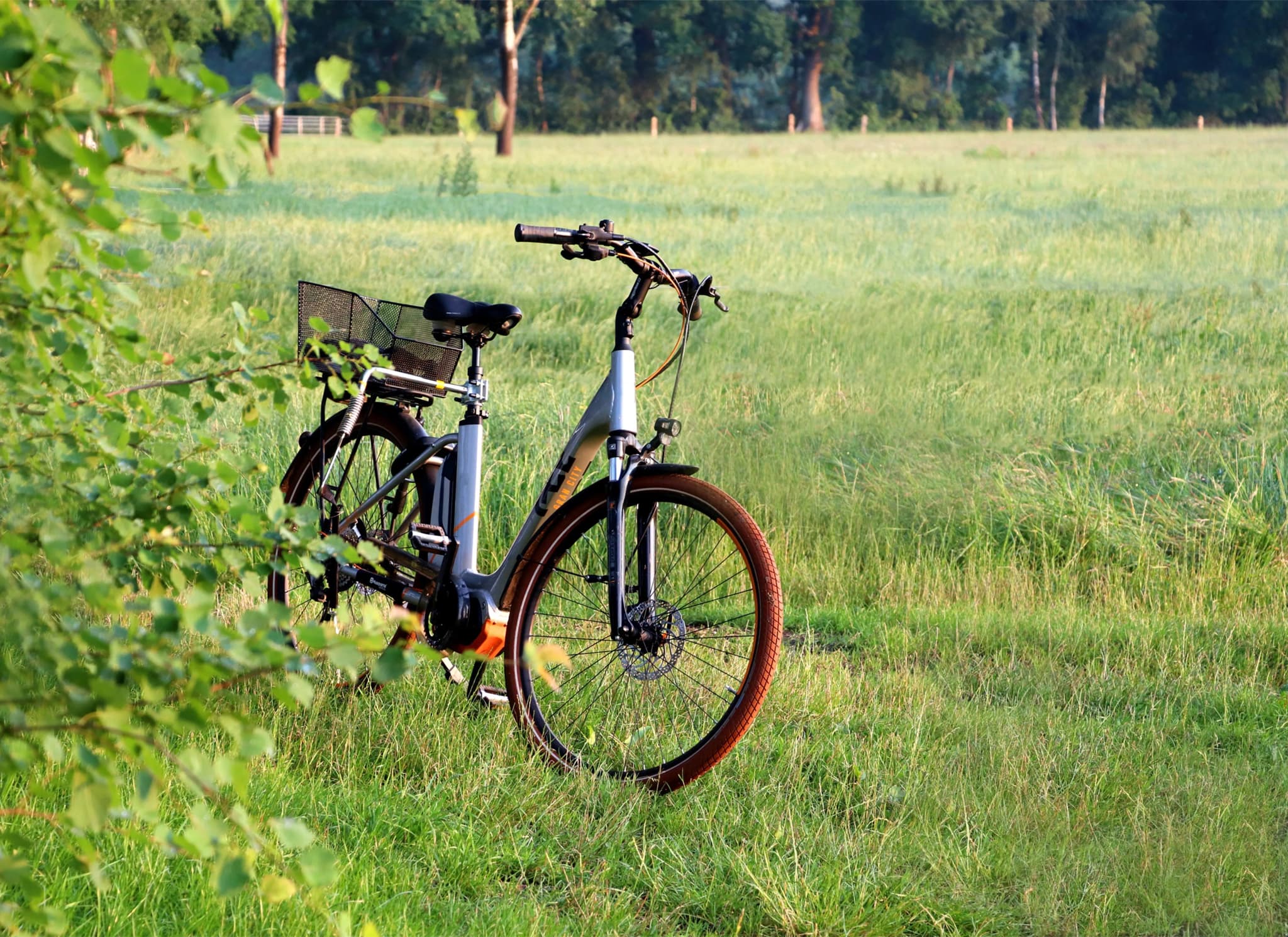 Barossa Valley Wine & Bike Tour