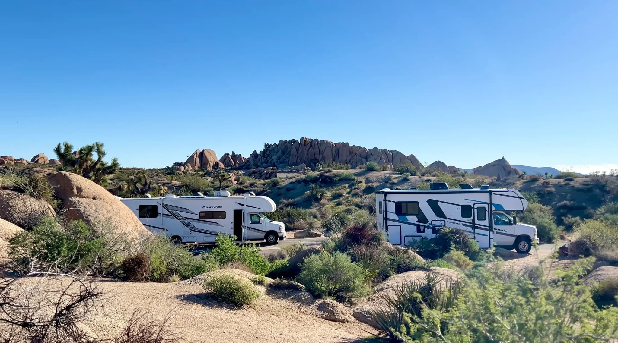 Der Joshua Tree Nationalpark ist ein beliebtes Ziel für Camperreisen