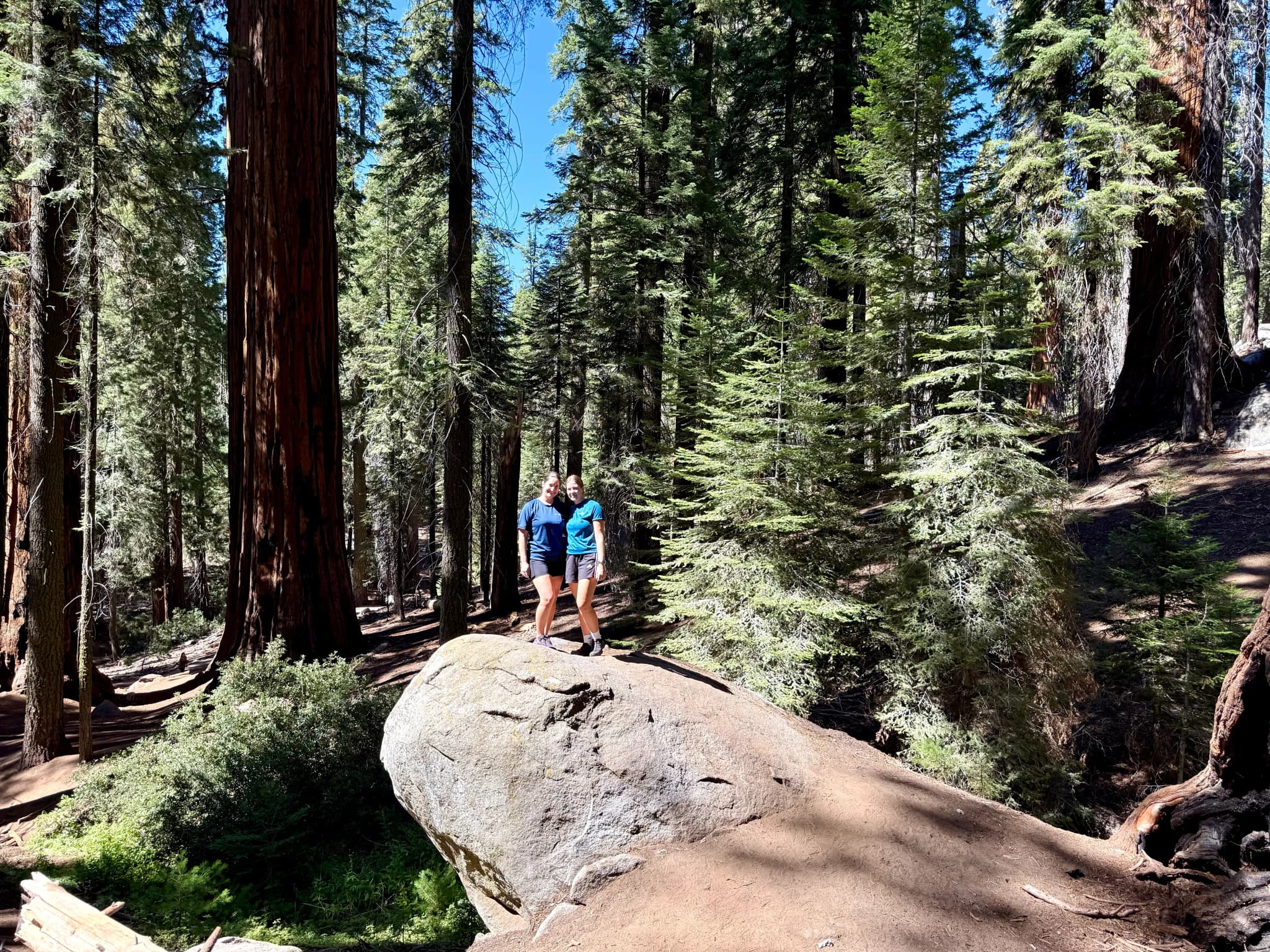 Katja und Nele stehen auf einem Felsen umgeben von Sequoia Trees
