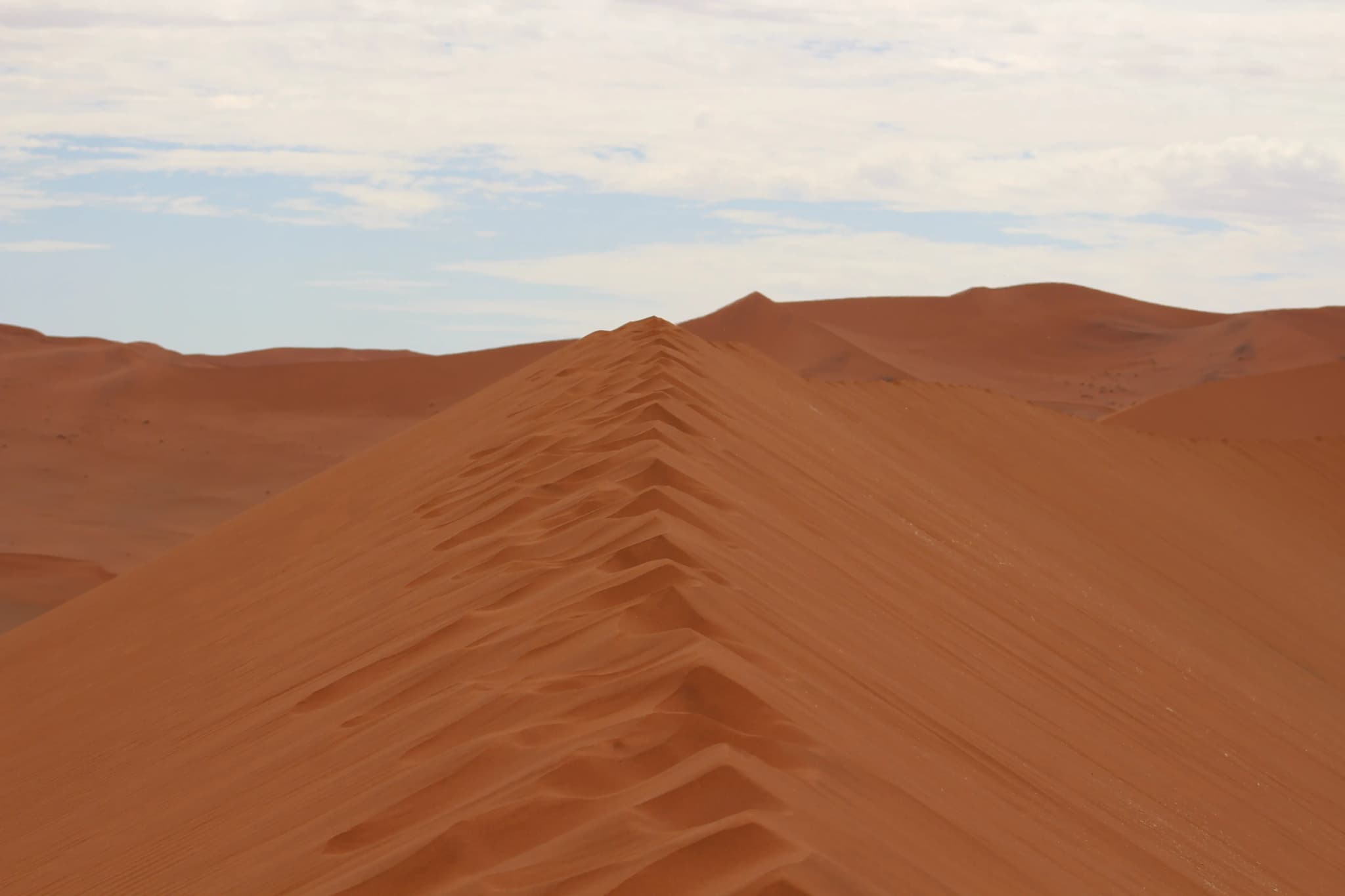 Dune 45 - Sossusvlei