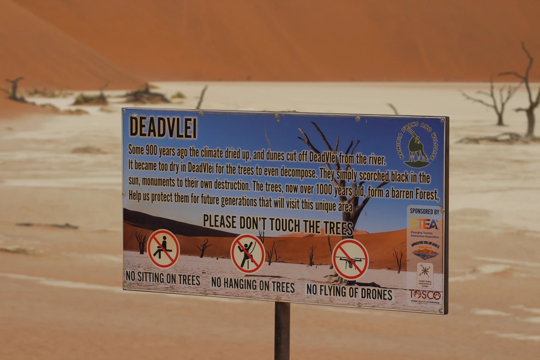 Informationsschild im Deadvlei