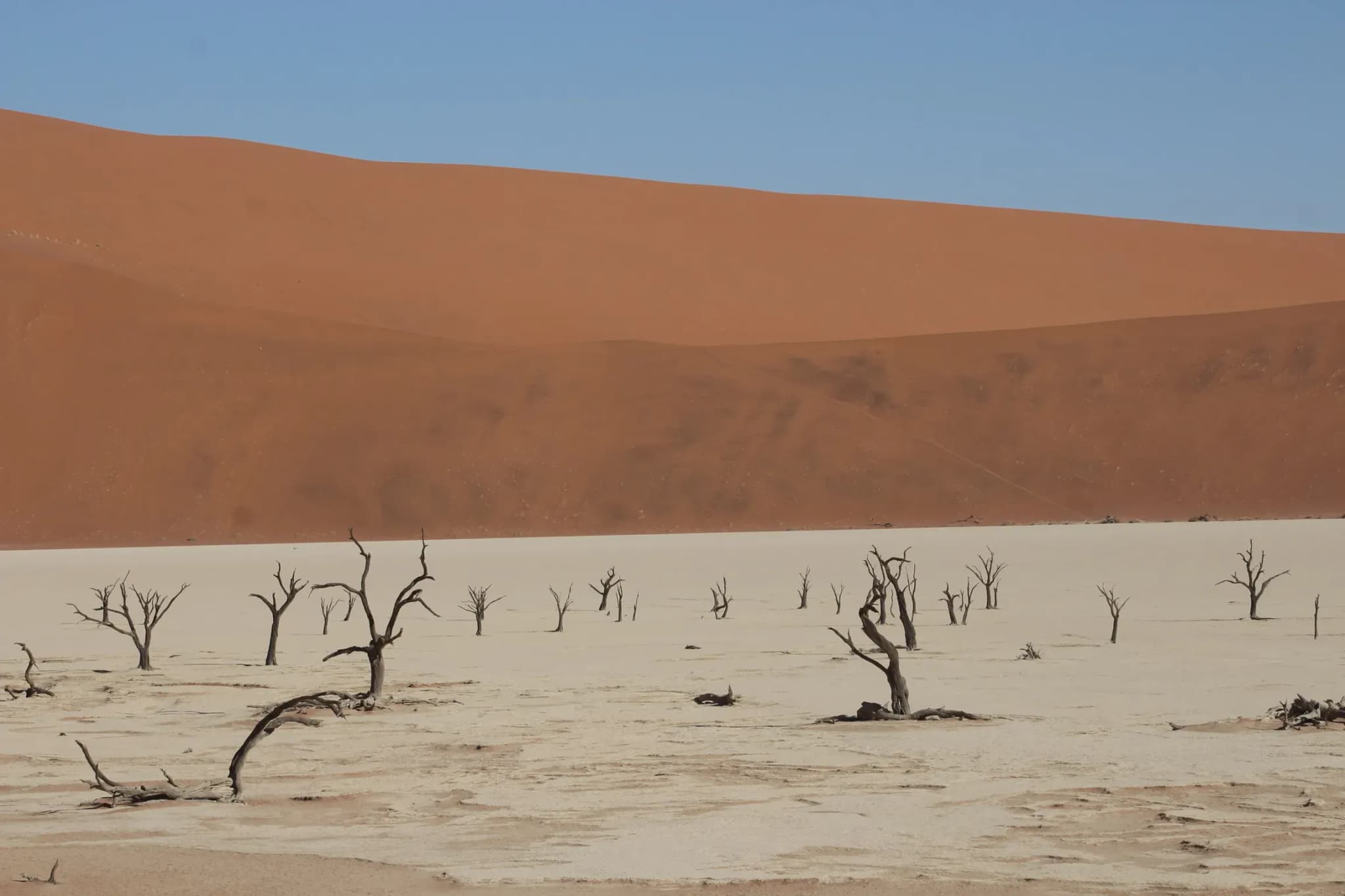 Deadvlei