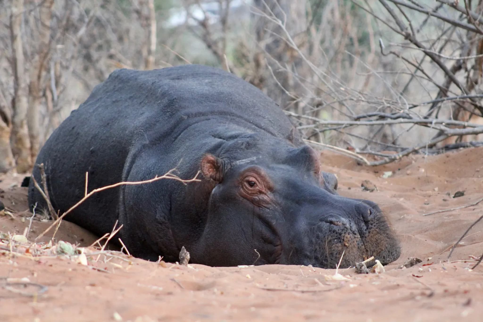 Olifants Rest Camp - Kruger National Park