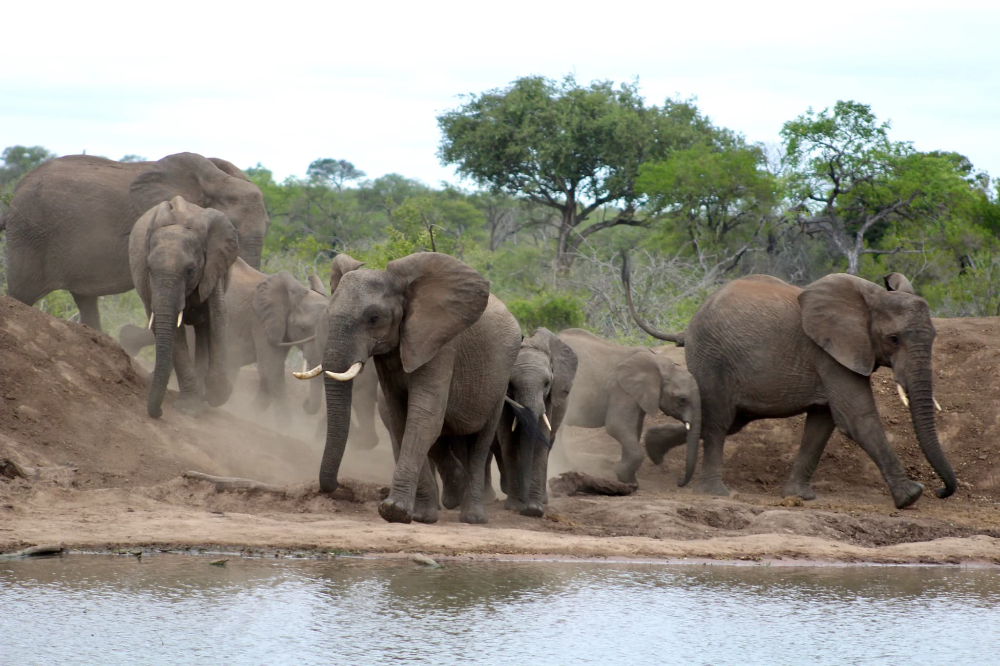 Kruger National Park