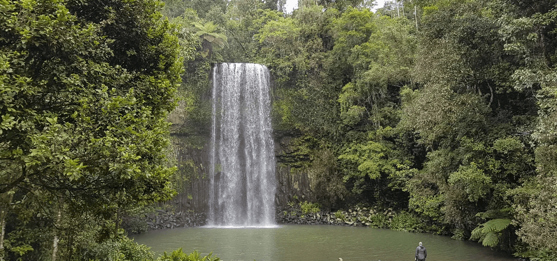 Der Millaa Millaa Wasserfall lässt sich gut mit dem Camper erreichen